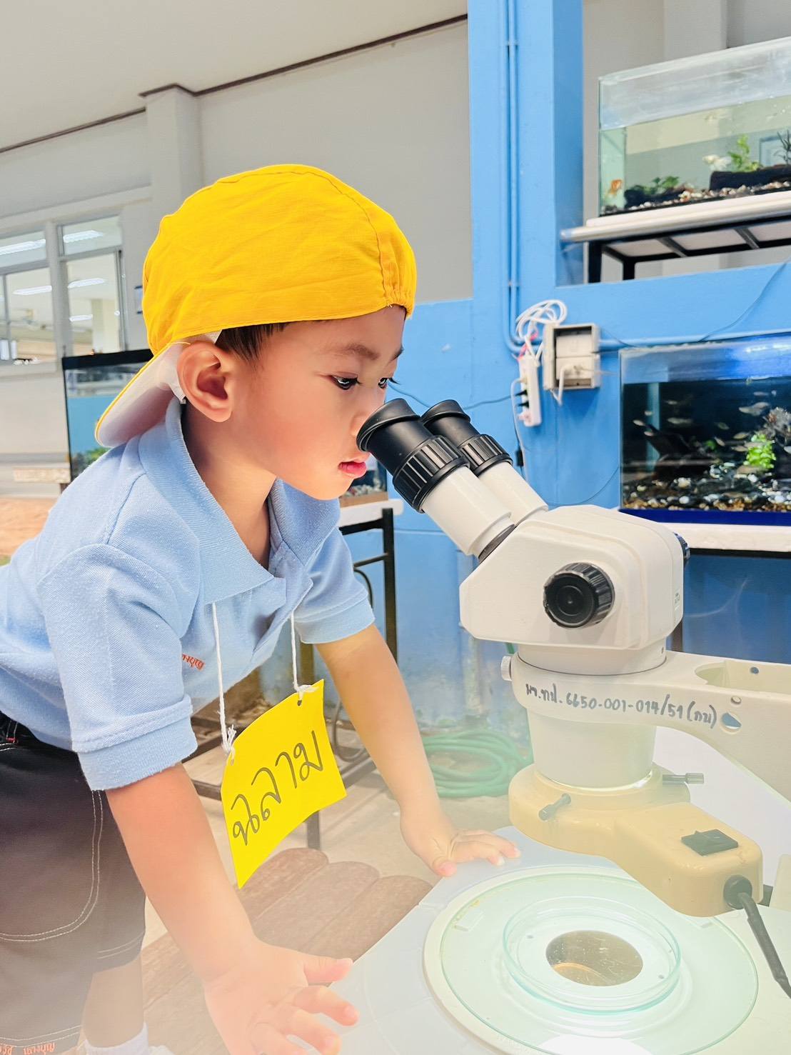 โรงเรียนอนุบาลอินทิราบ้านเด็ก / Inthira Baandek Kindergarten