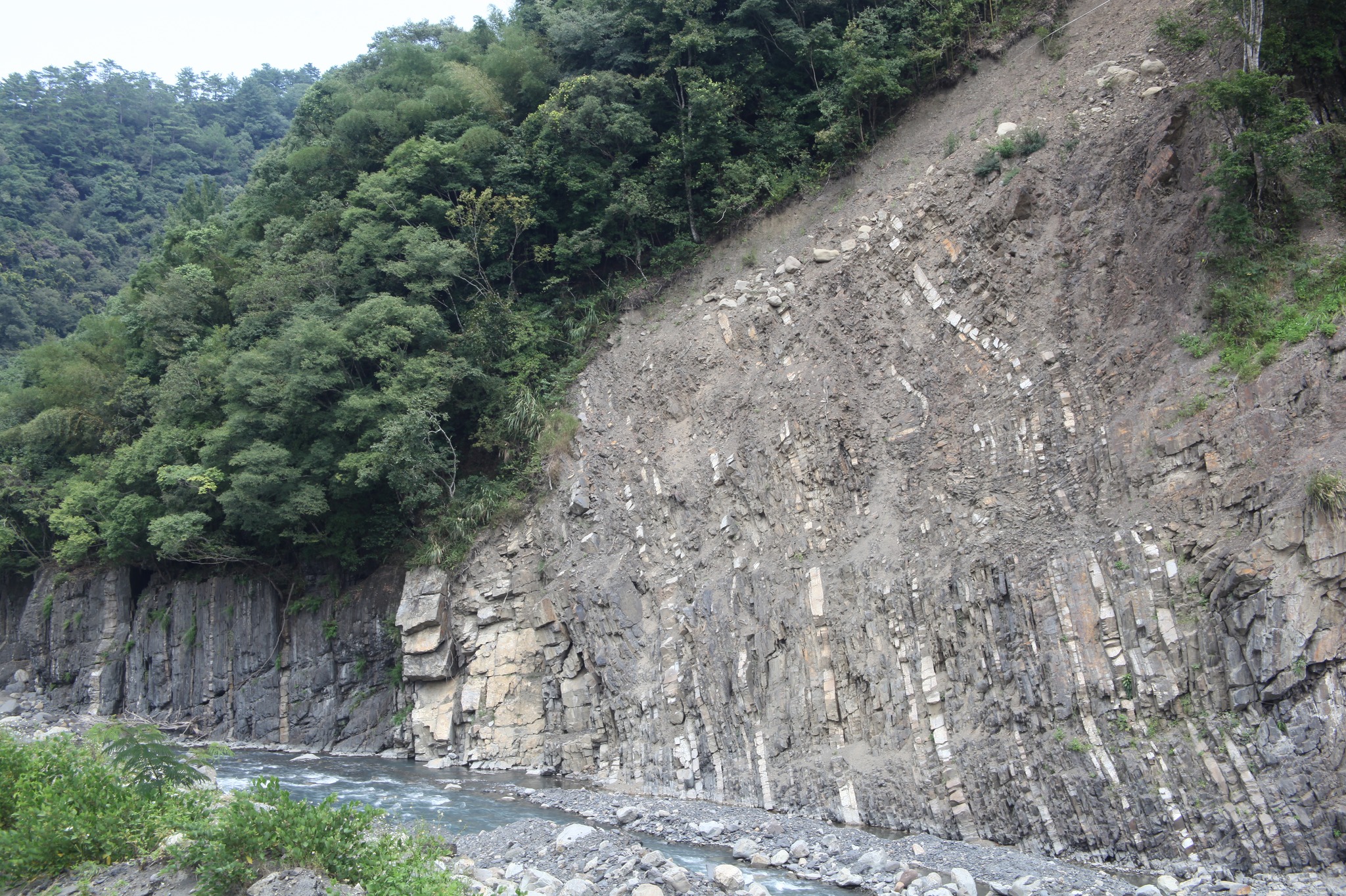 地質知識網絡 - 千枚岩：板劈理發達、易劈開成平整薄片且劈理面具有絹絲光澤的變質泥岩。 https://reurl.cc/QvjzZ （資料 ...