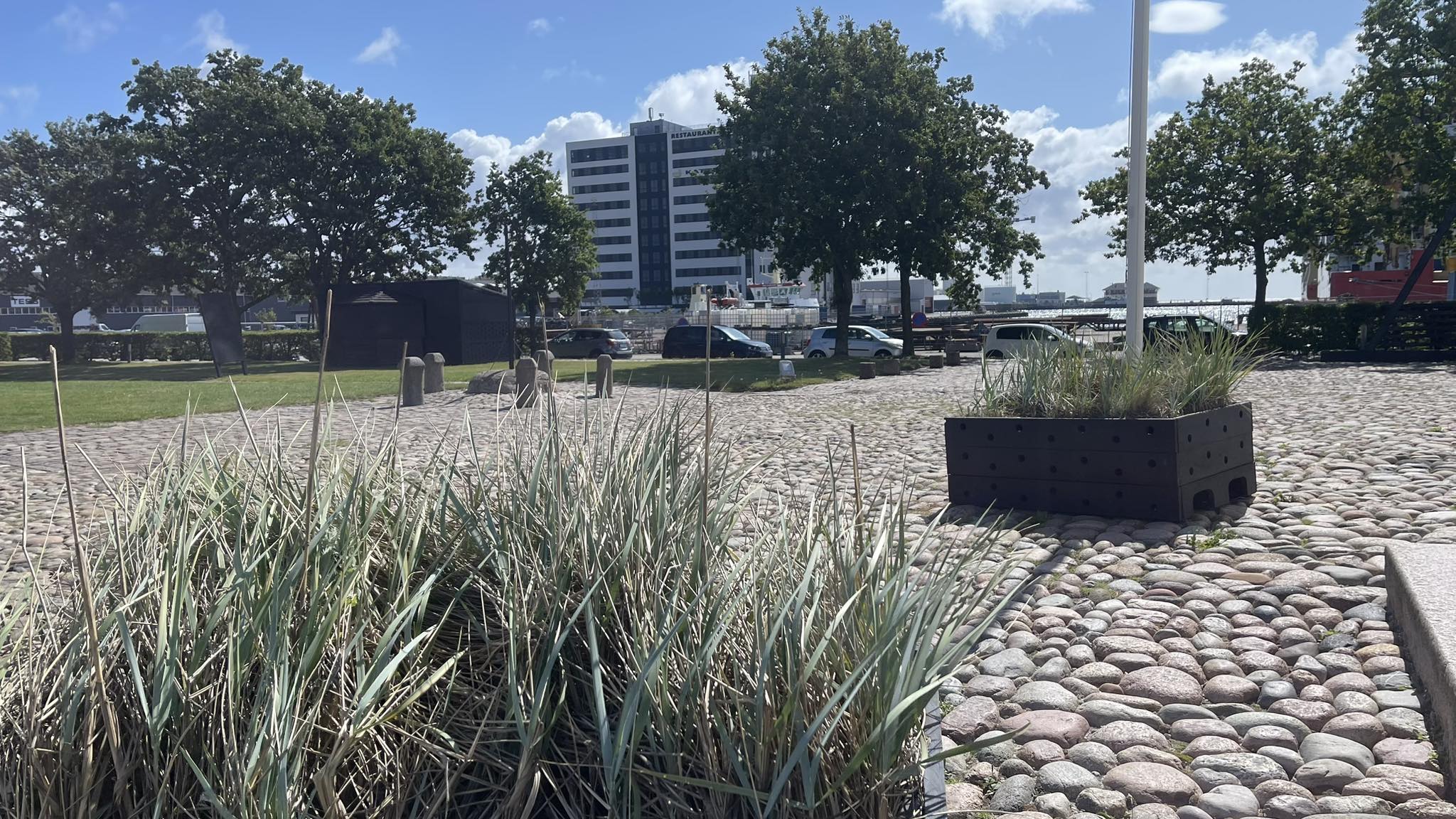 Sæby Golfklub - Vejrudsigten siger k-k-koooldt i nat og skyfri himmel ...
