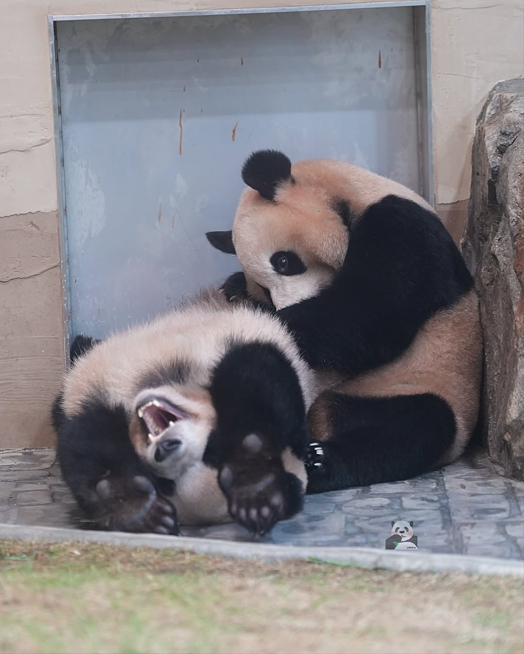 Rui Hui đáng yêu added a new photo. - Rui Hui đáng yêu