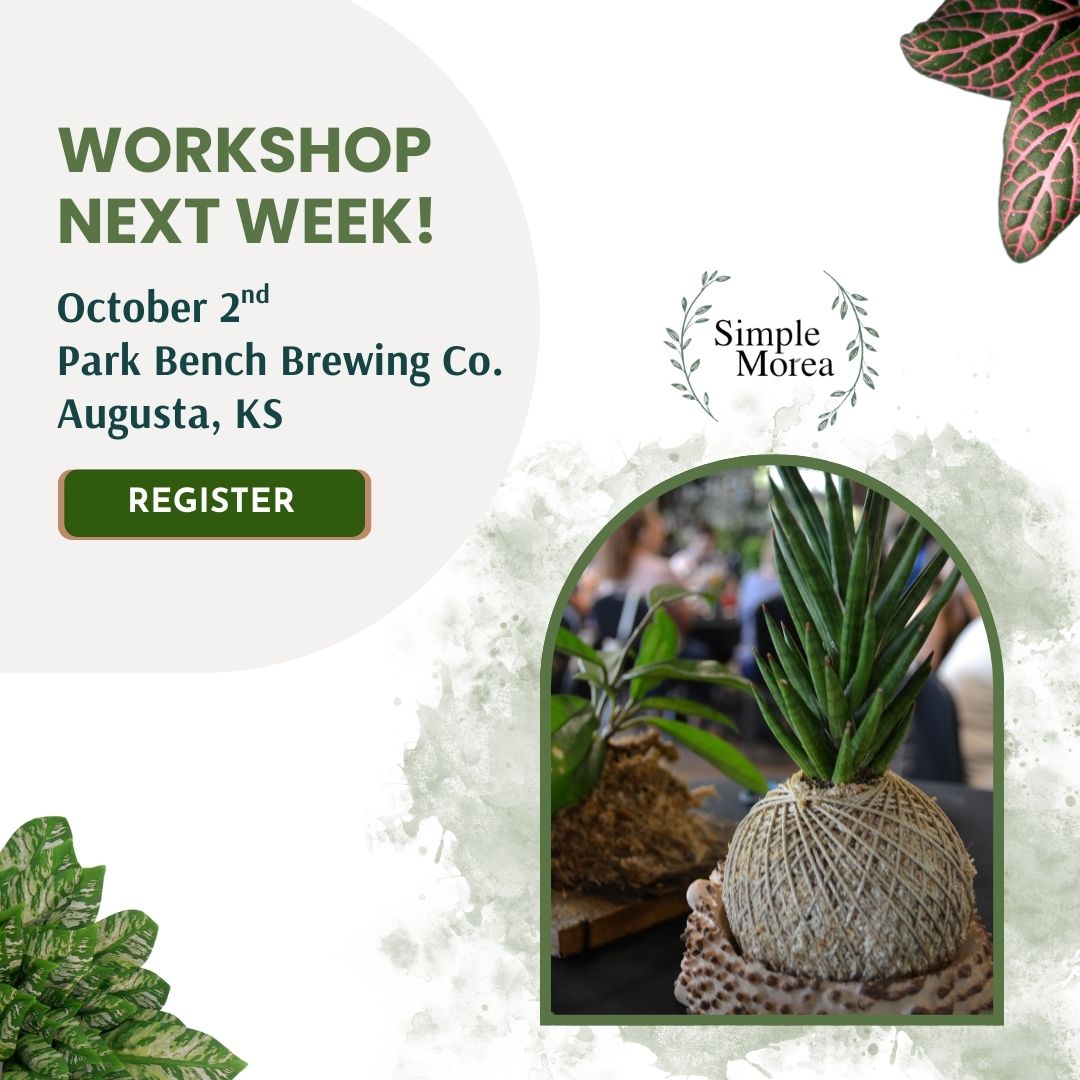 Simple Morea - 🌿 Hey Kansas friends! Step away from the... | Facebook
