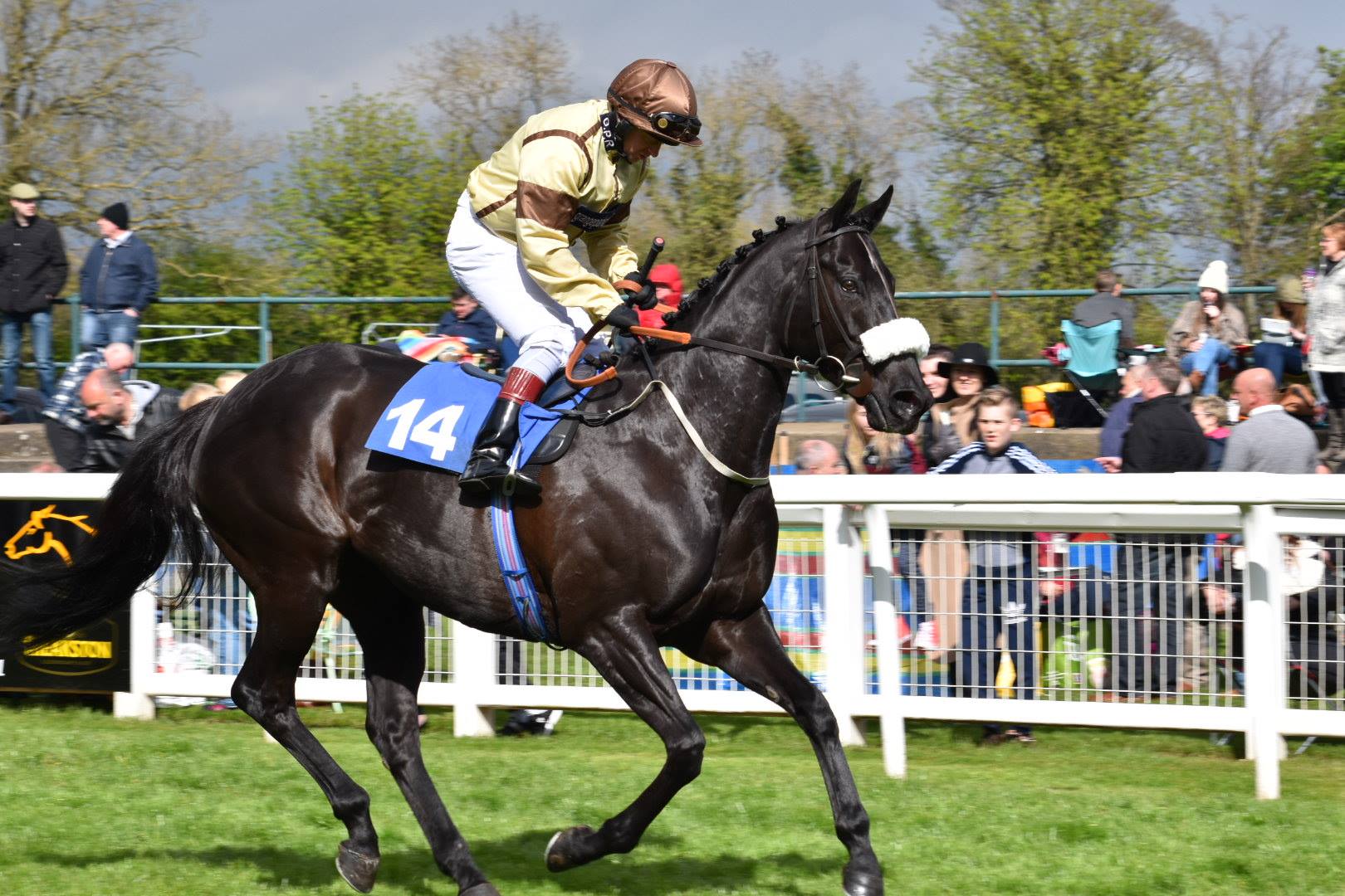 Today we have one runner at Haydock &... - Grange Park Racing | Facebook