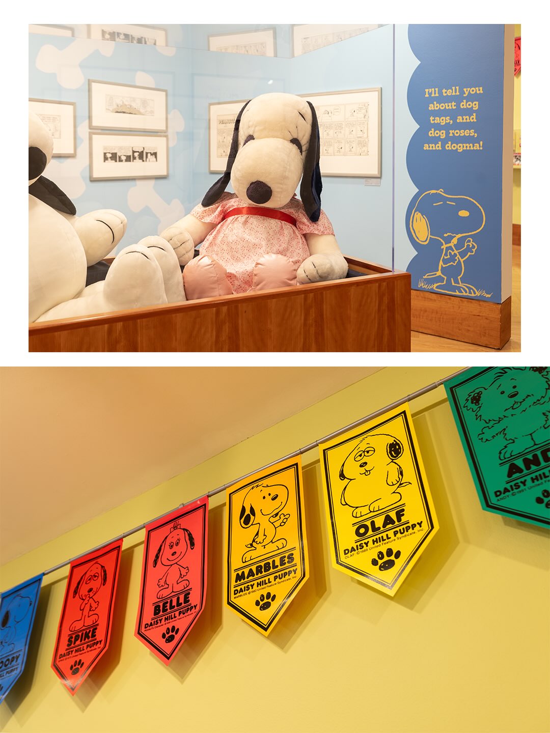 Snoopy's family exhibition at Charles M. Schulz Museum