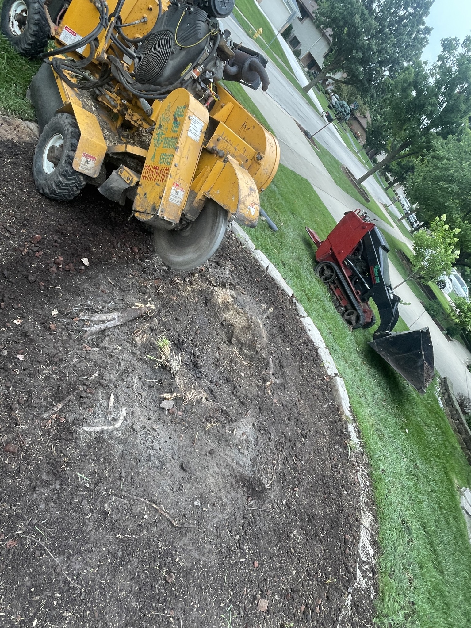 Angel Tree Removal Services | Aurora IL