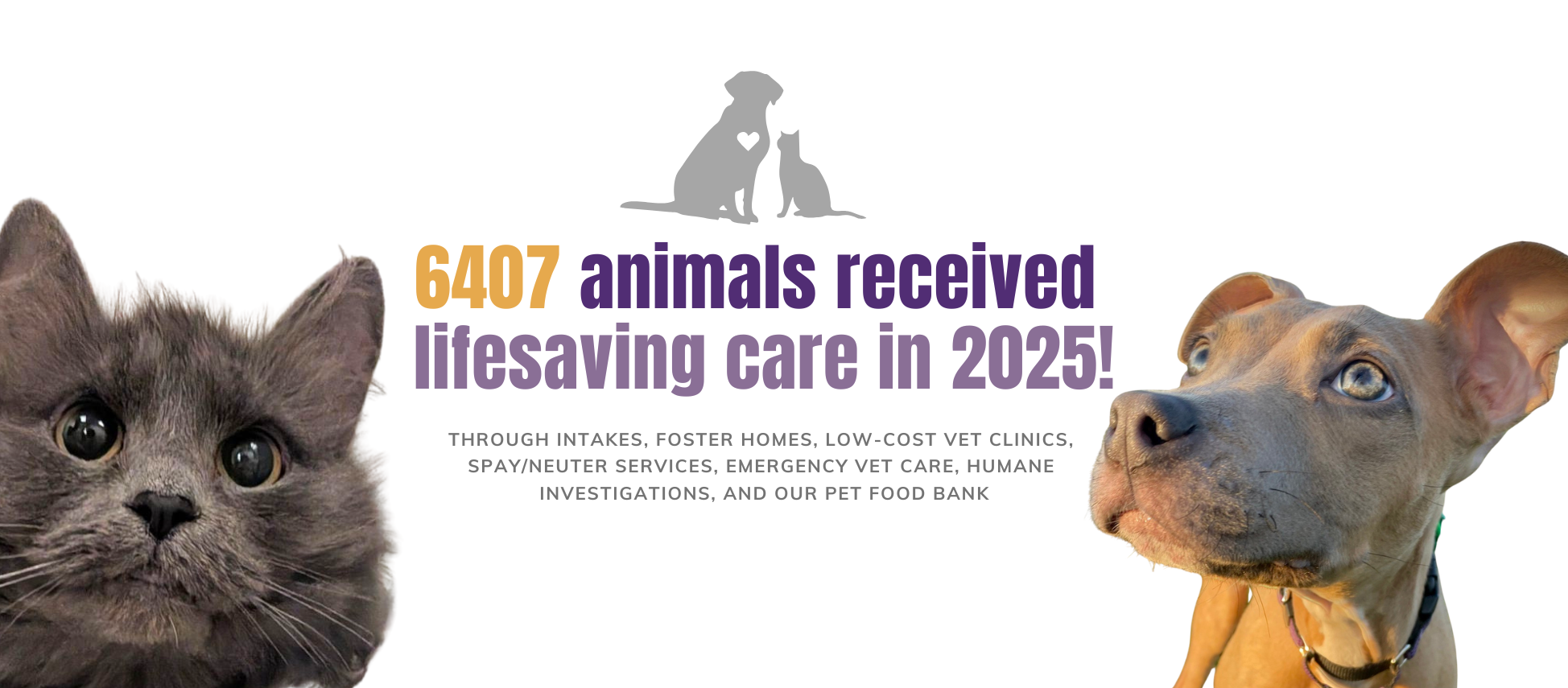 Humane - Looking for an internship that has a direct impact on the ...
