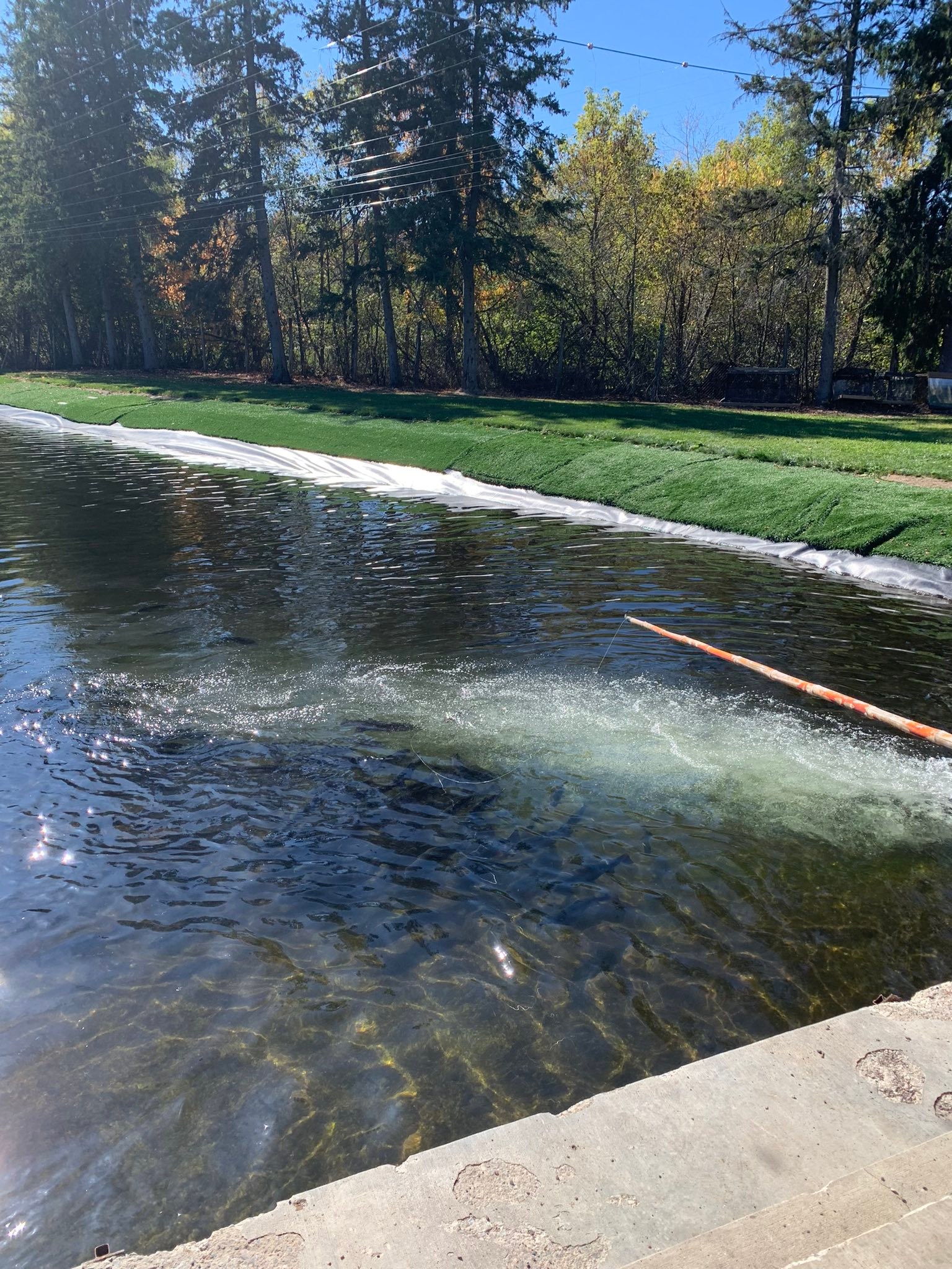 Silver Moon Springs Fish Hatchery | Elton WI