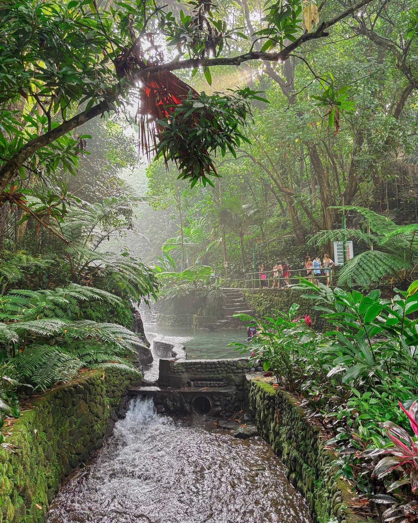 Bato Springs Resort added a new photo. - Bato Springs Resort