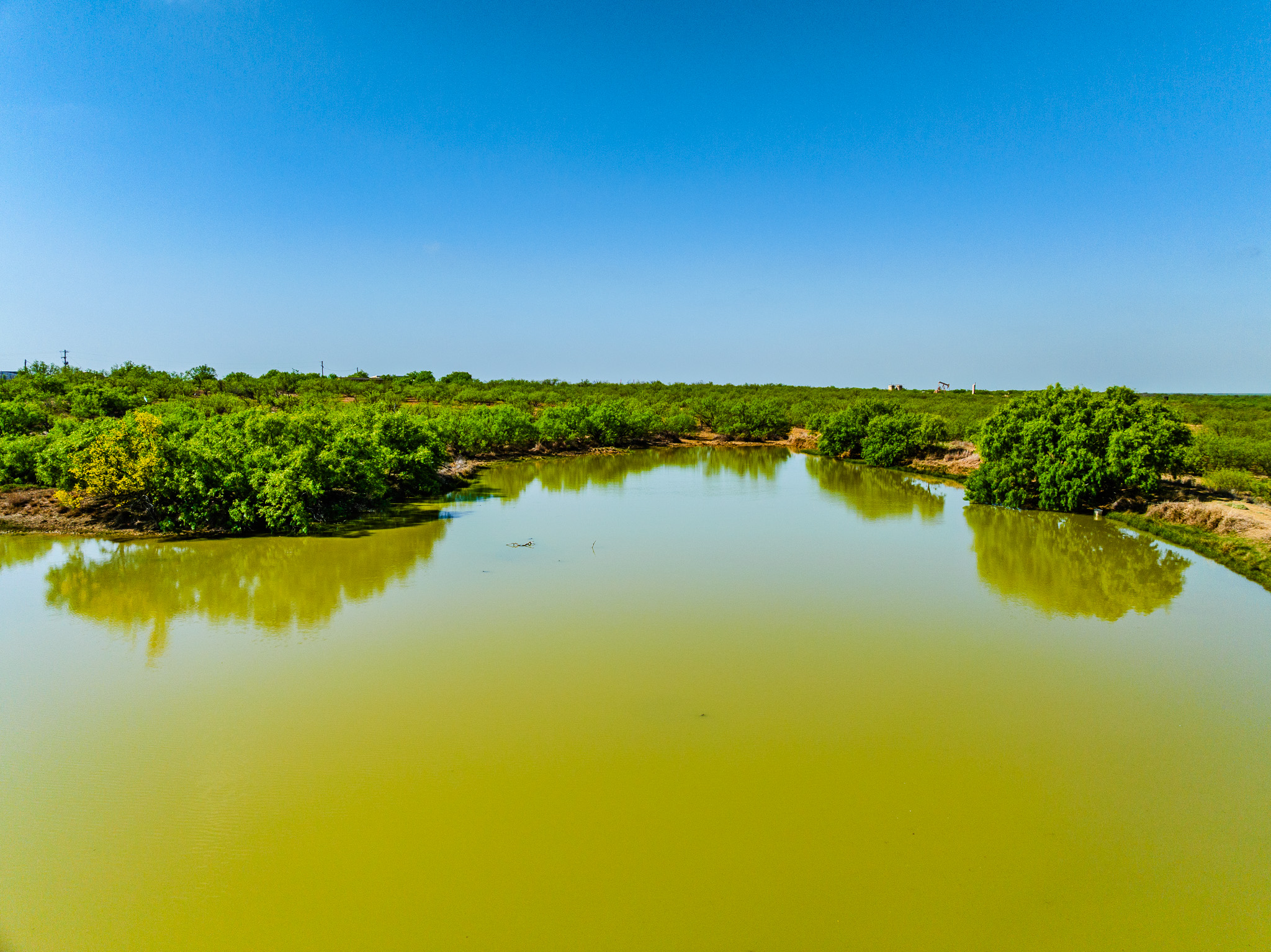 Texas - Tall Tine Creek Ranch ⎮ 1,382± Acres Welcome to Tall Tine Creek ...