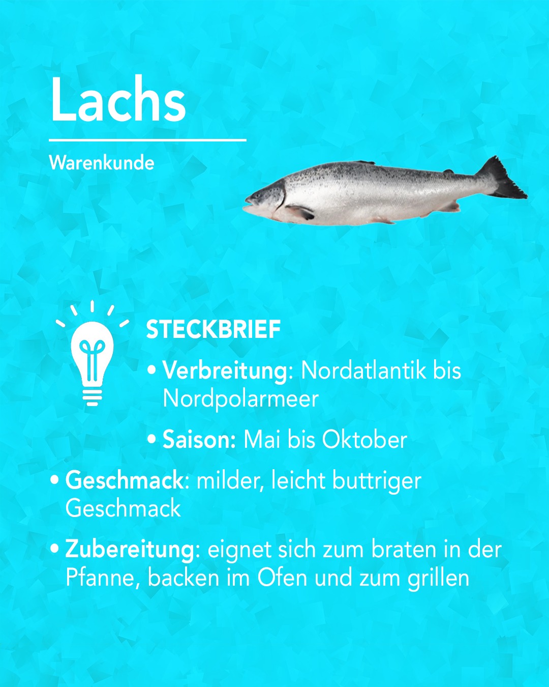 Viktor - 🐟 Lachs – ein echter Allrounder in der Küche! Mit seinem ...