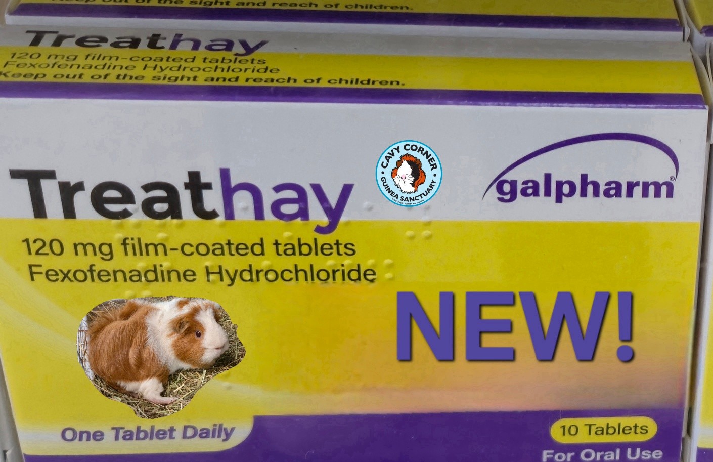 So excited to tell you about this brand new product! Have you ever seen your guinea pig totally exhausted from the constant chewing of enormous piles of fresh hay day after day?