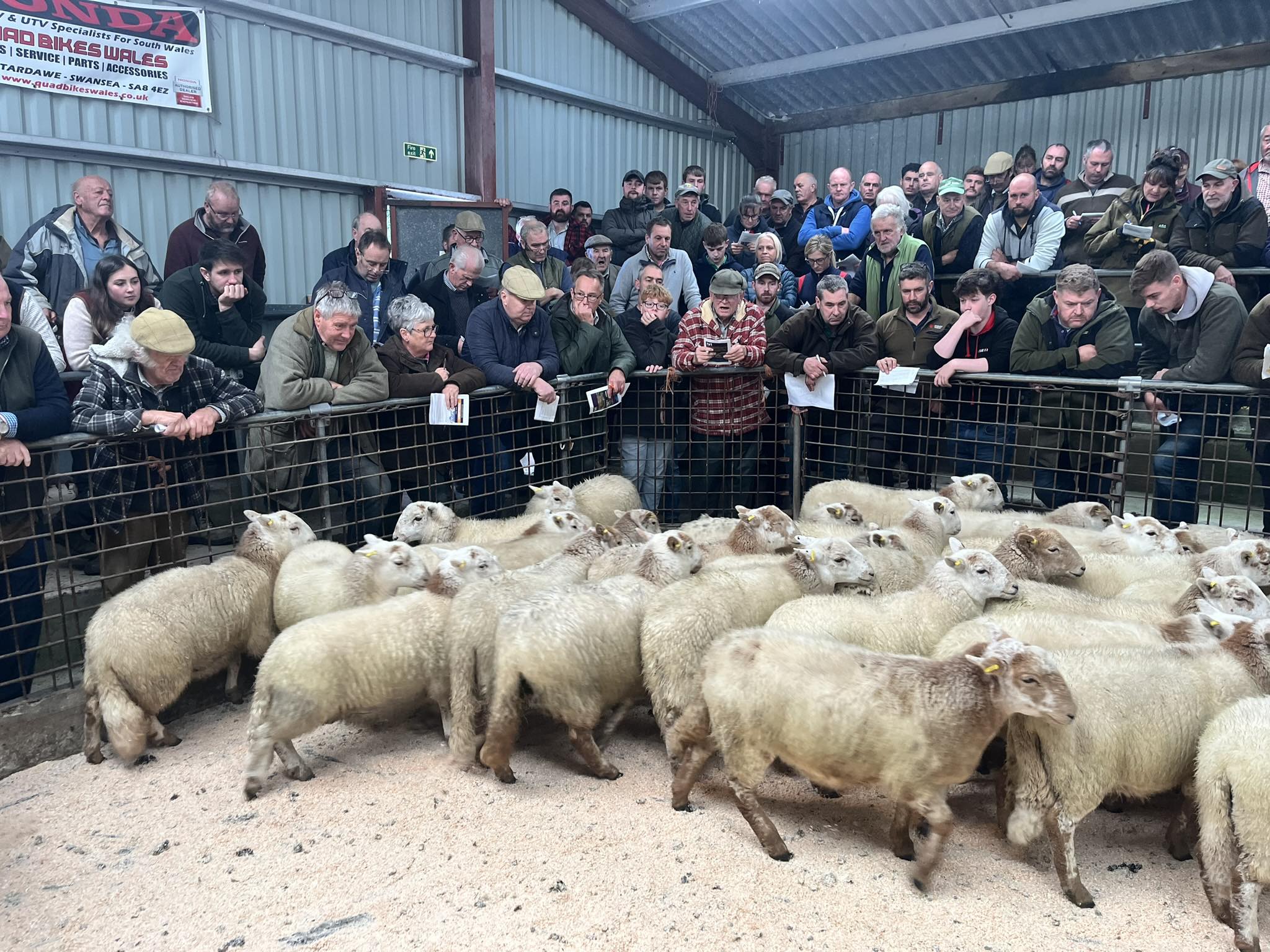 📣NEW TO THE MARKET!📣... - Herbert R Thomas - Agriculture | Facebook
