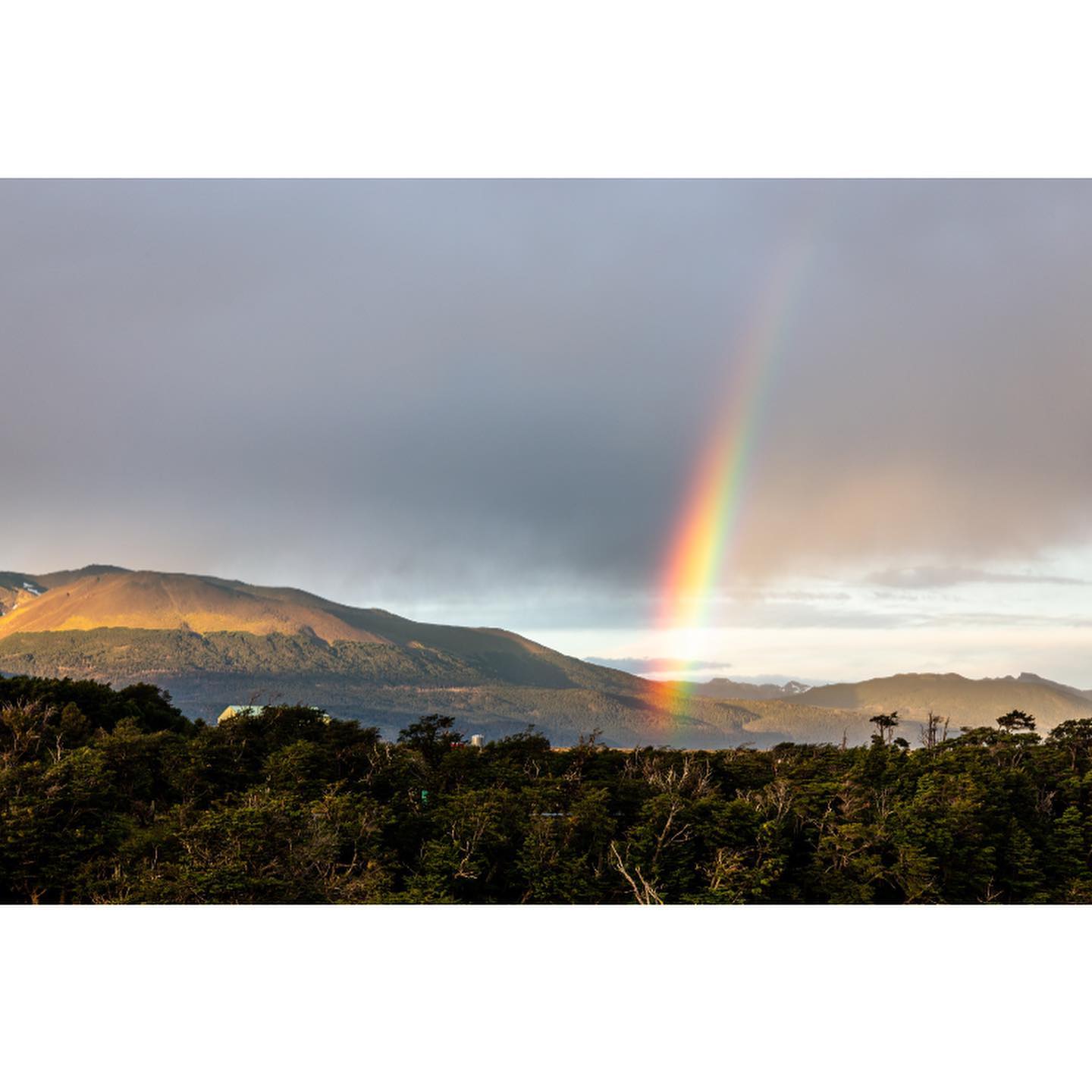 Jo Randall Photography