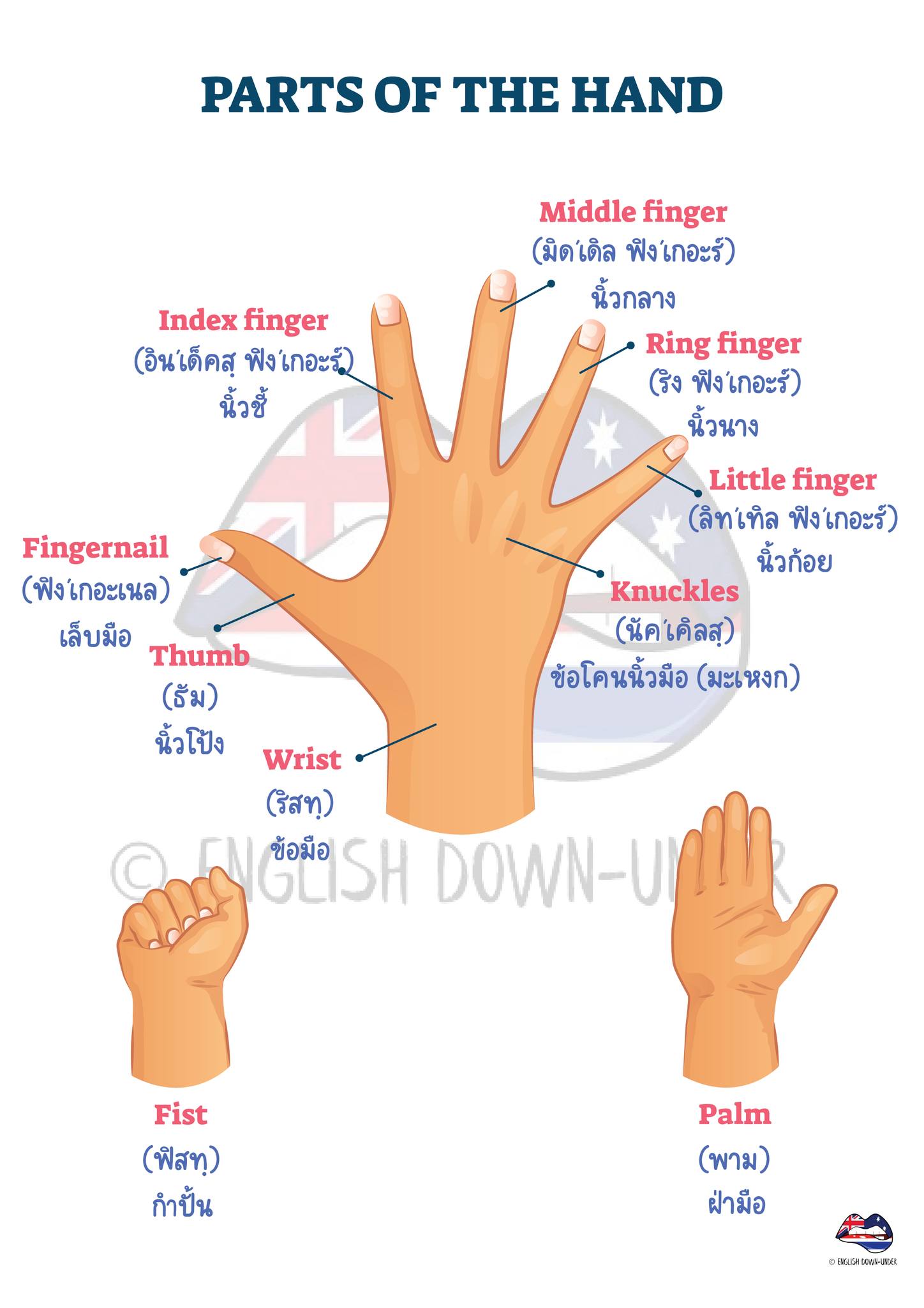 ภาษาอังกฤษมัธยมปลาย | Facebook