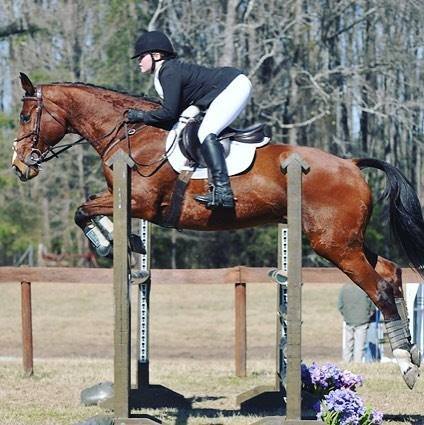 The... - County Saddlery - Saddles & Saddle Fitting