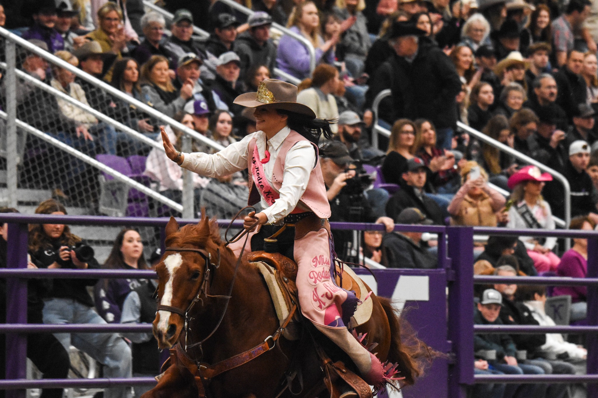 K-State - VOTE AND SHARE! Willie needs your votes in the final round ...