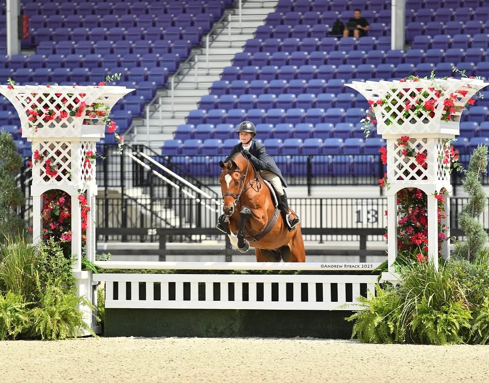 Falcon Ridge Stables | Woodstock GA