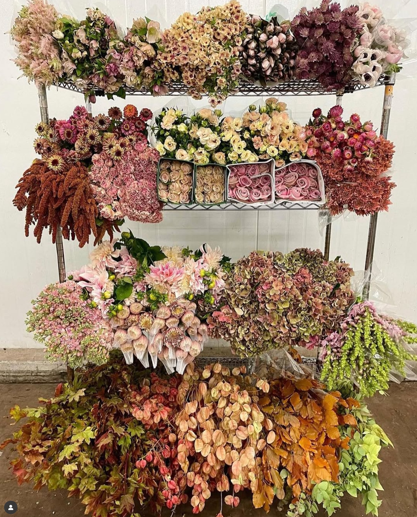 Mayesh Wholesale Florist added... - Mayesh Wholesale Florist