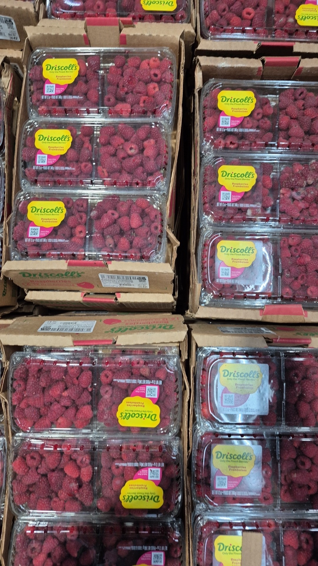 First - FREE RASPBERRIES IN PARKING LOT. GONE | Facebook