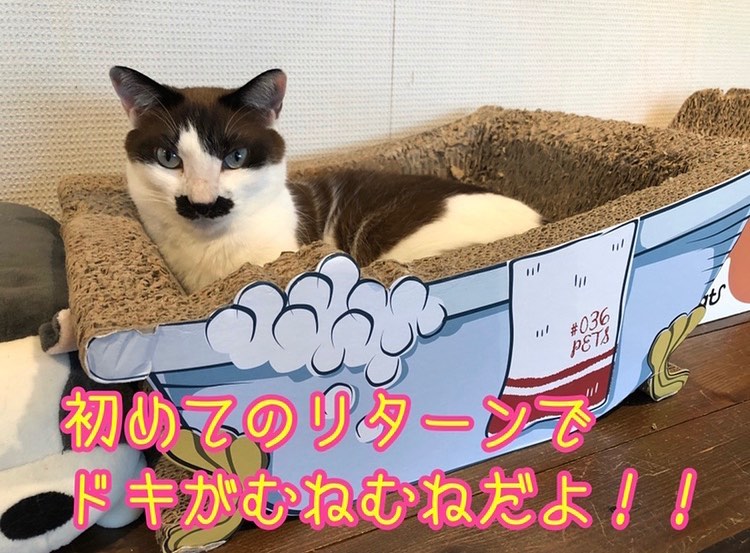 ねこまる様への確認写真 グラマー