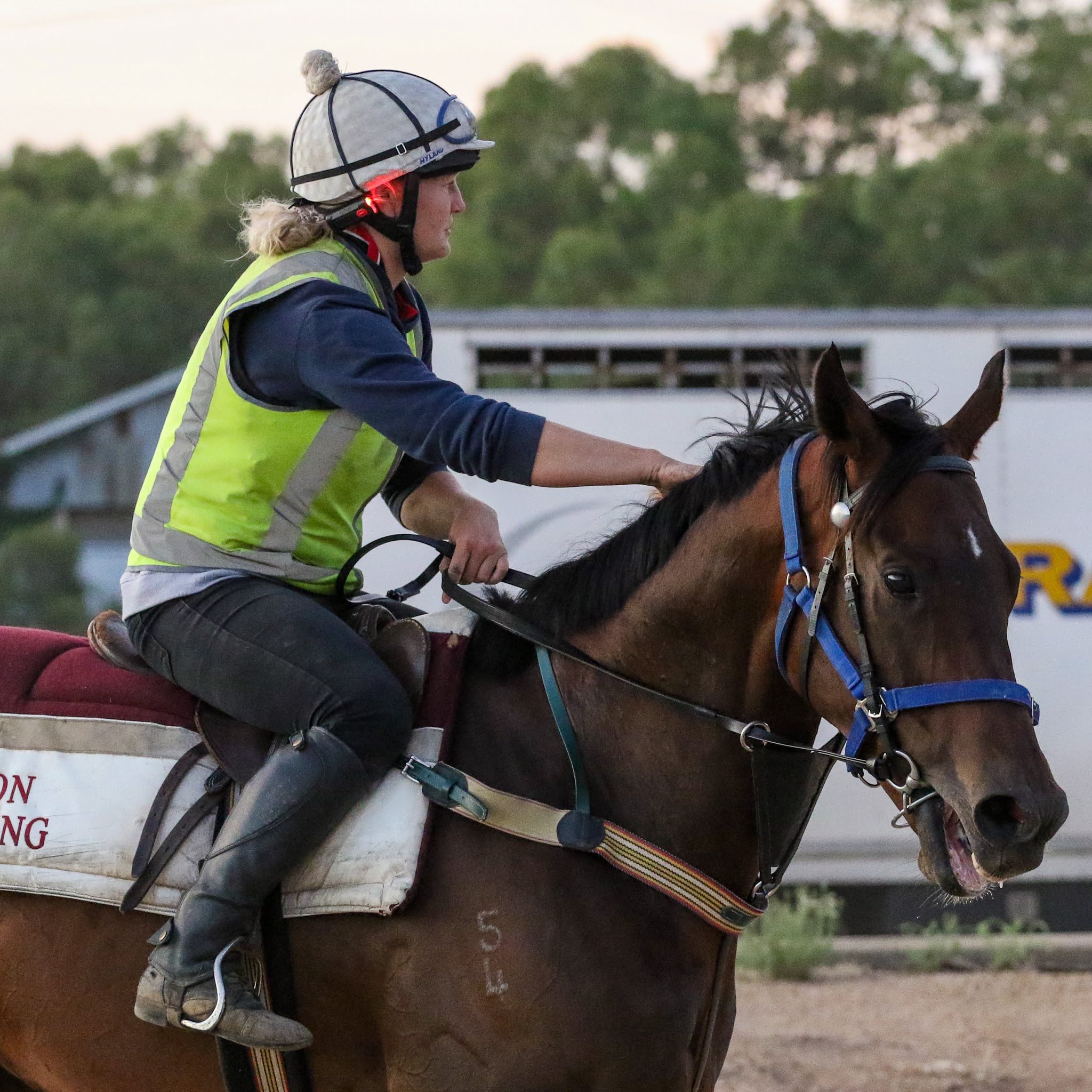 🌟 Team Spotlight – Kylie Relf 🌟... - Andrew Dale Racing | Facebook