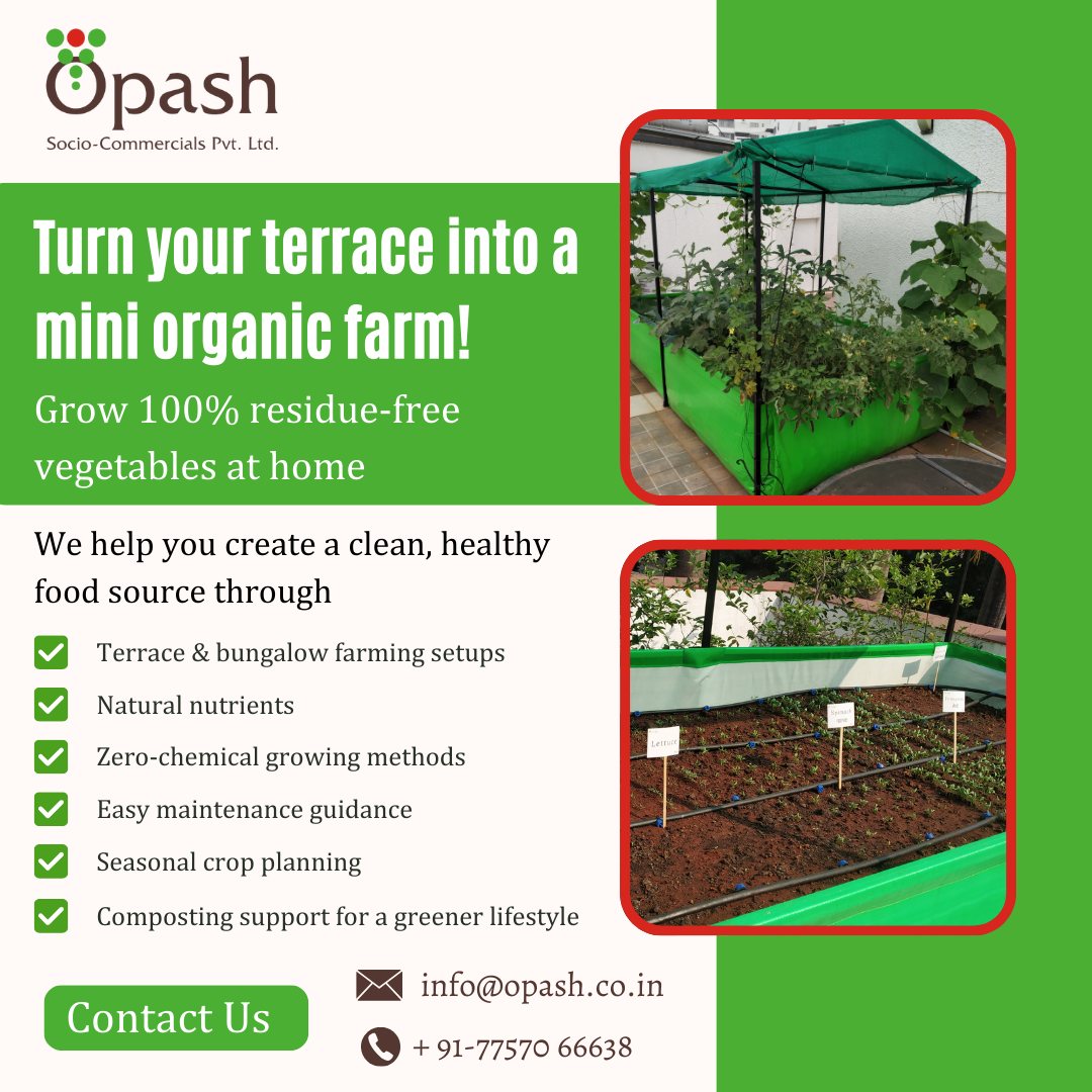 Opash - Terrace farming turns unused spaces into sustainable food ...