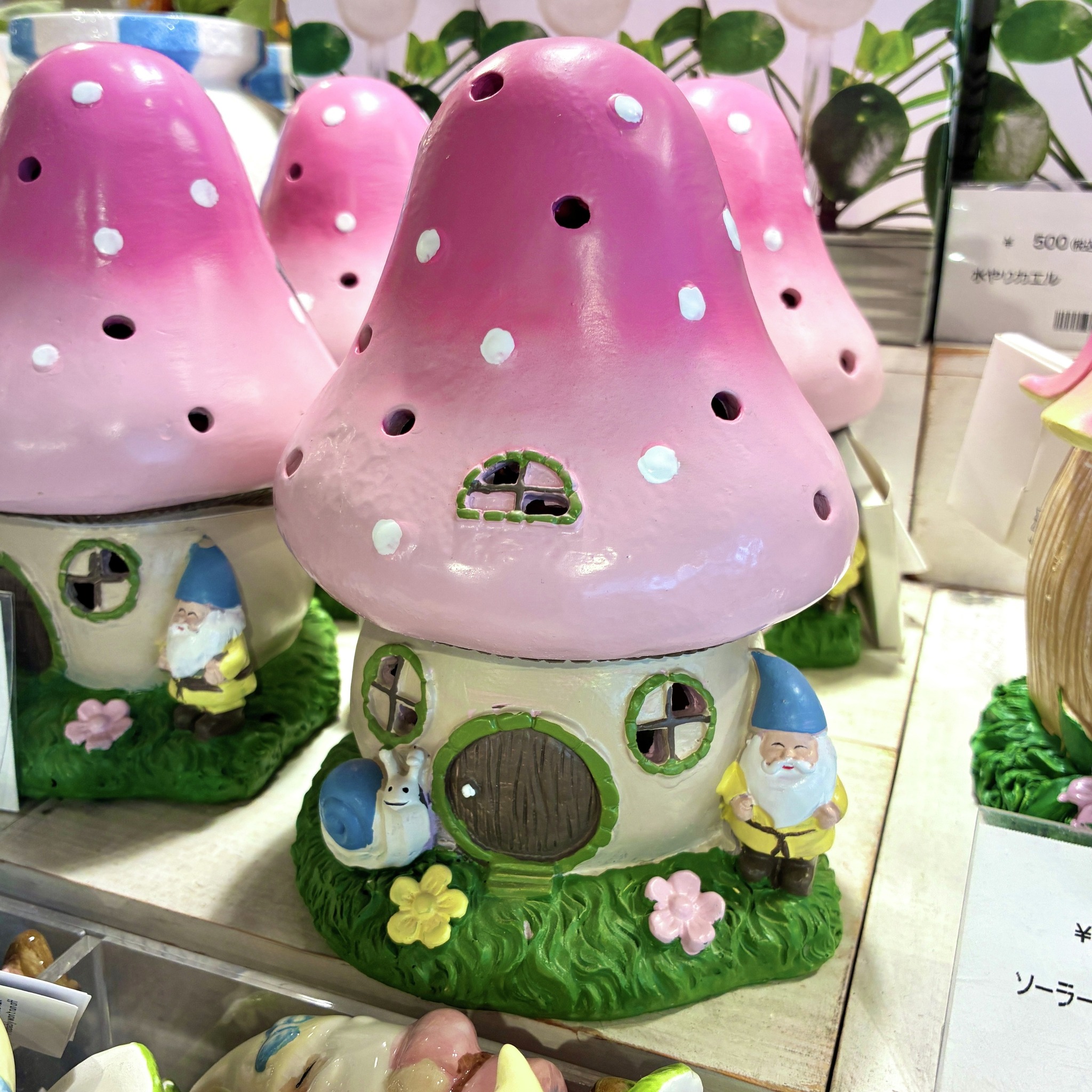 そのグリーン、まだ伸びしろがあります🌿 キノコのおうちと、なかま