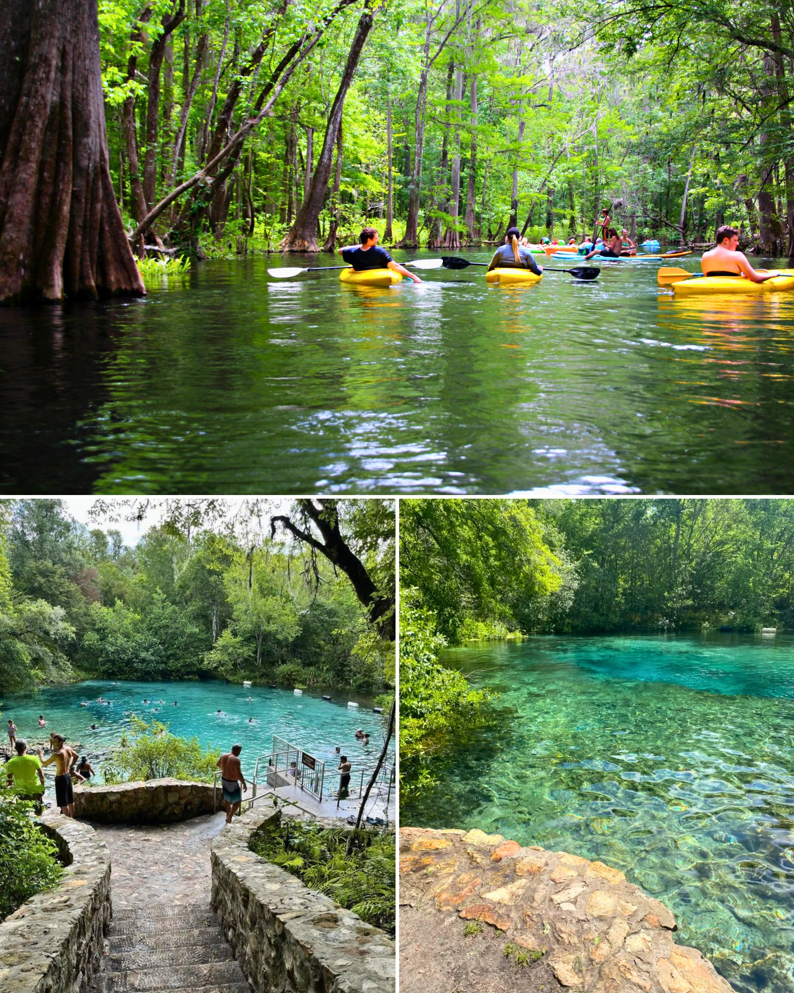 Gazab - Floating Florida’s Ichetucknee River Florida’s Ichetucknee ...
