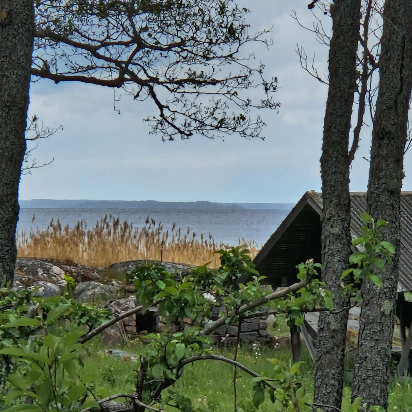 Grävlings Naturprodukter... - Grävlings Naturprodukter Gräsö