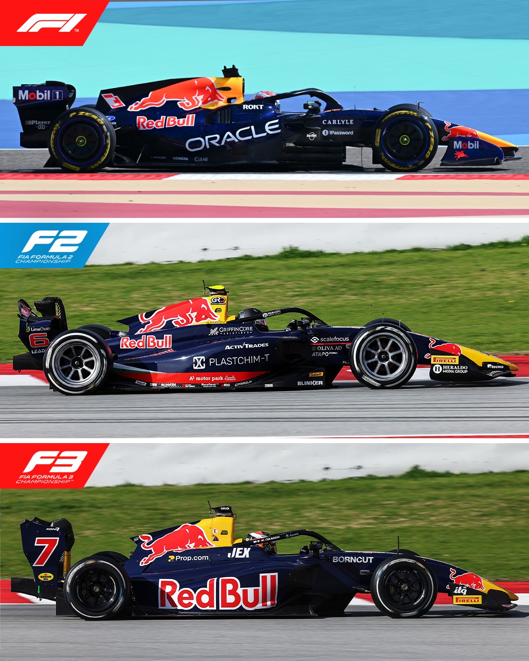 FIA - Red Bull across the ranks 🔴🐂 Mirroring Max and Isack in F1 ...