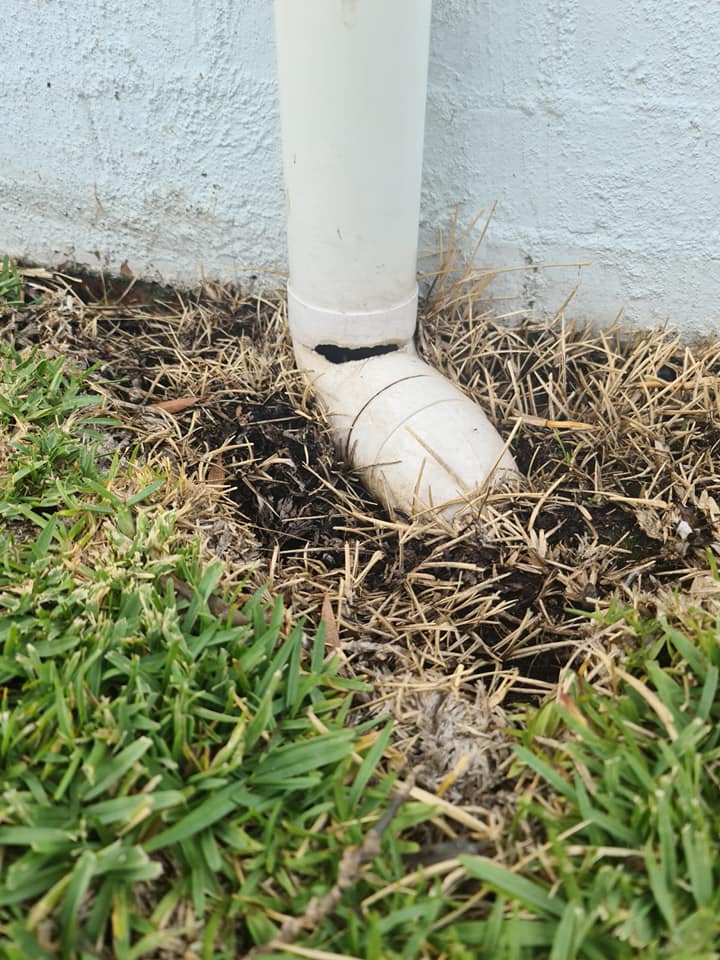 Regional Pest Services | Sussex Inlet NSW