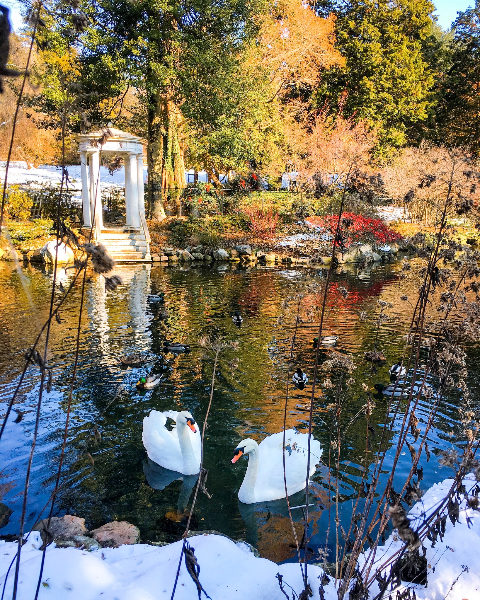 Morris Arboretum & Gardens of the University of Pennsylvania ...