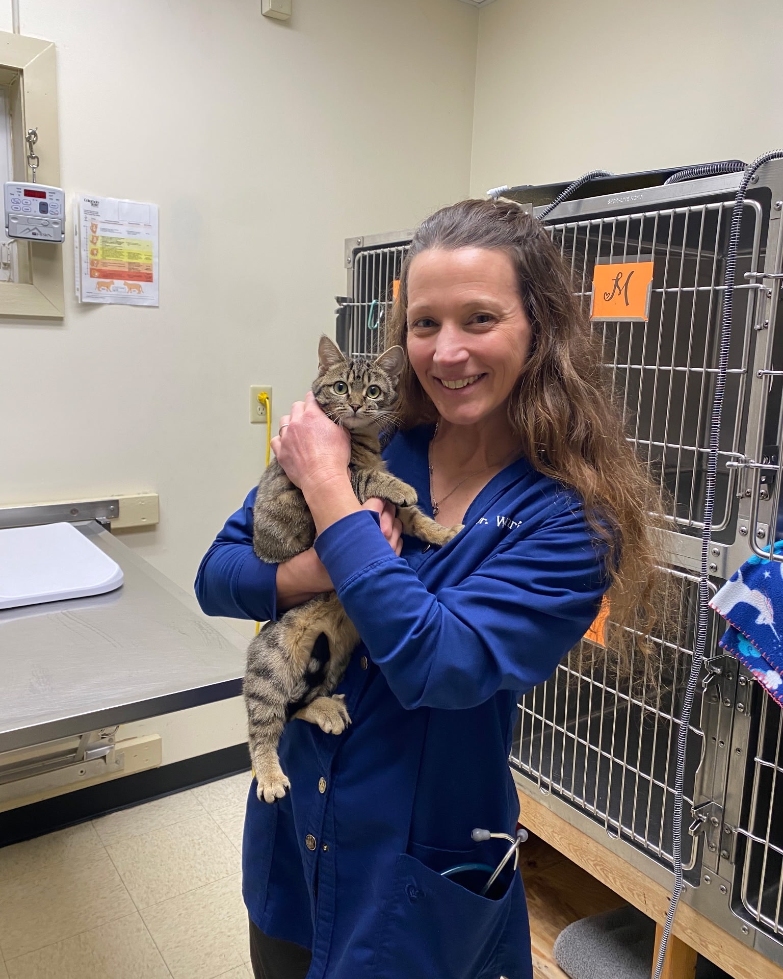 Straley Veterinary... - Straley Veterinary Associates