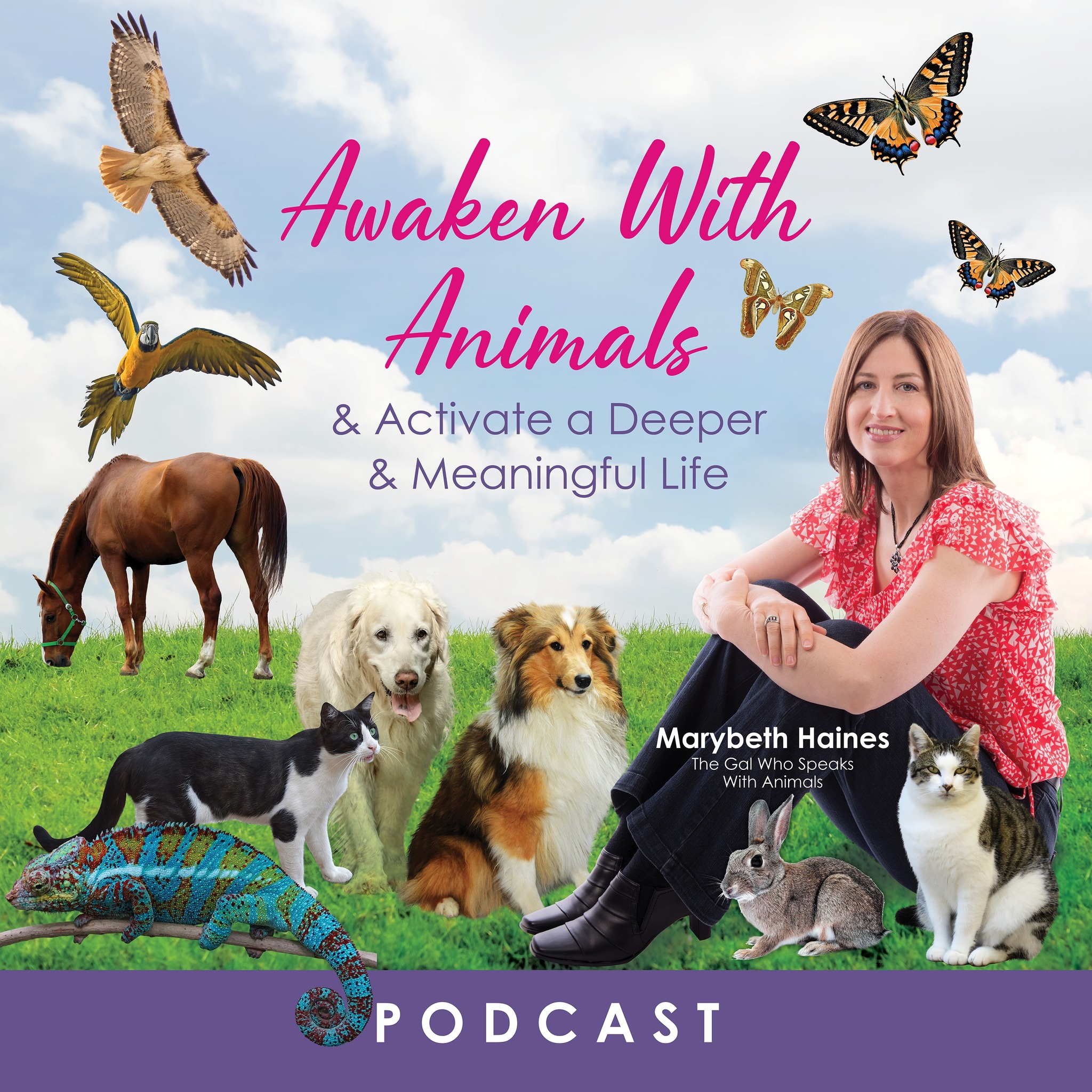 𝐖𝐢𝐧𝐧𝐢𝐞 𝐭𝐡𝐞 𝐏𝐨𝐨𝐡, 𝐒𝐢𝐦𝐛𝐚,... - The GAL Who Speaks With Animals | Facebook