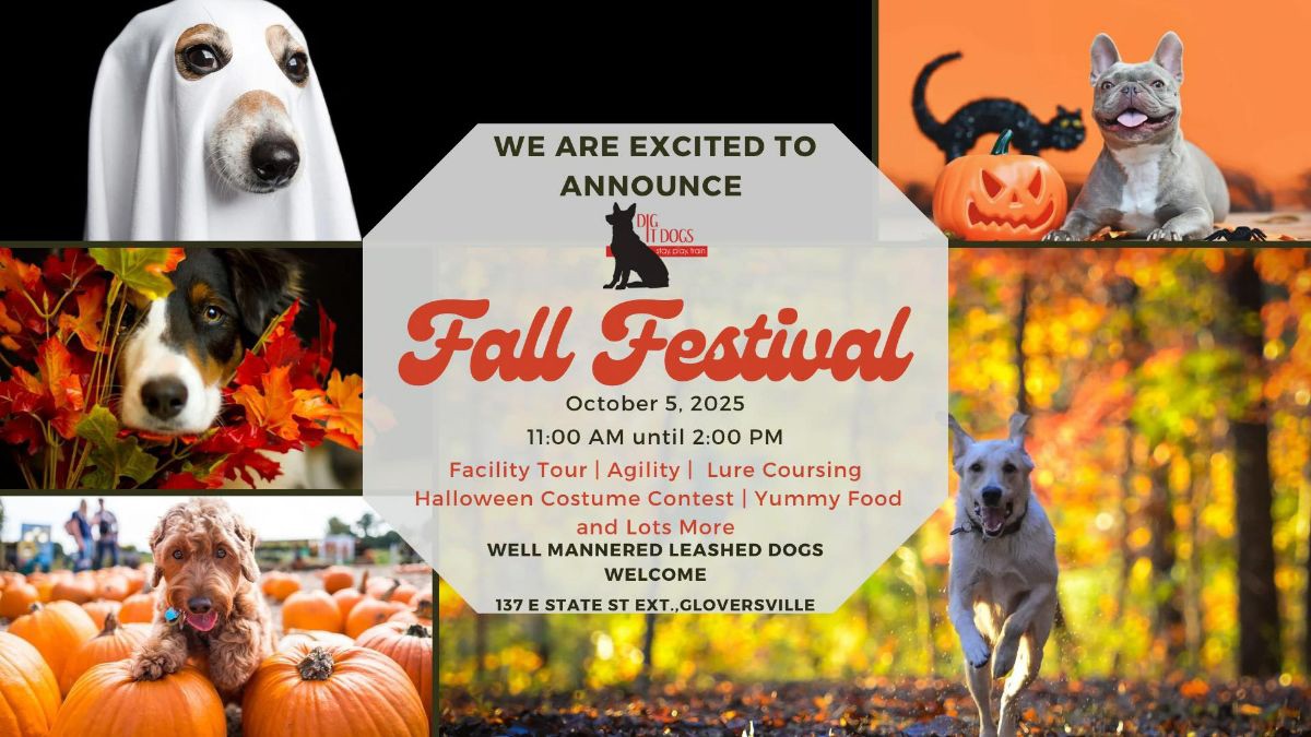 DIG IT DOGS Fall Festival