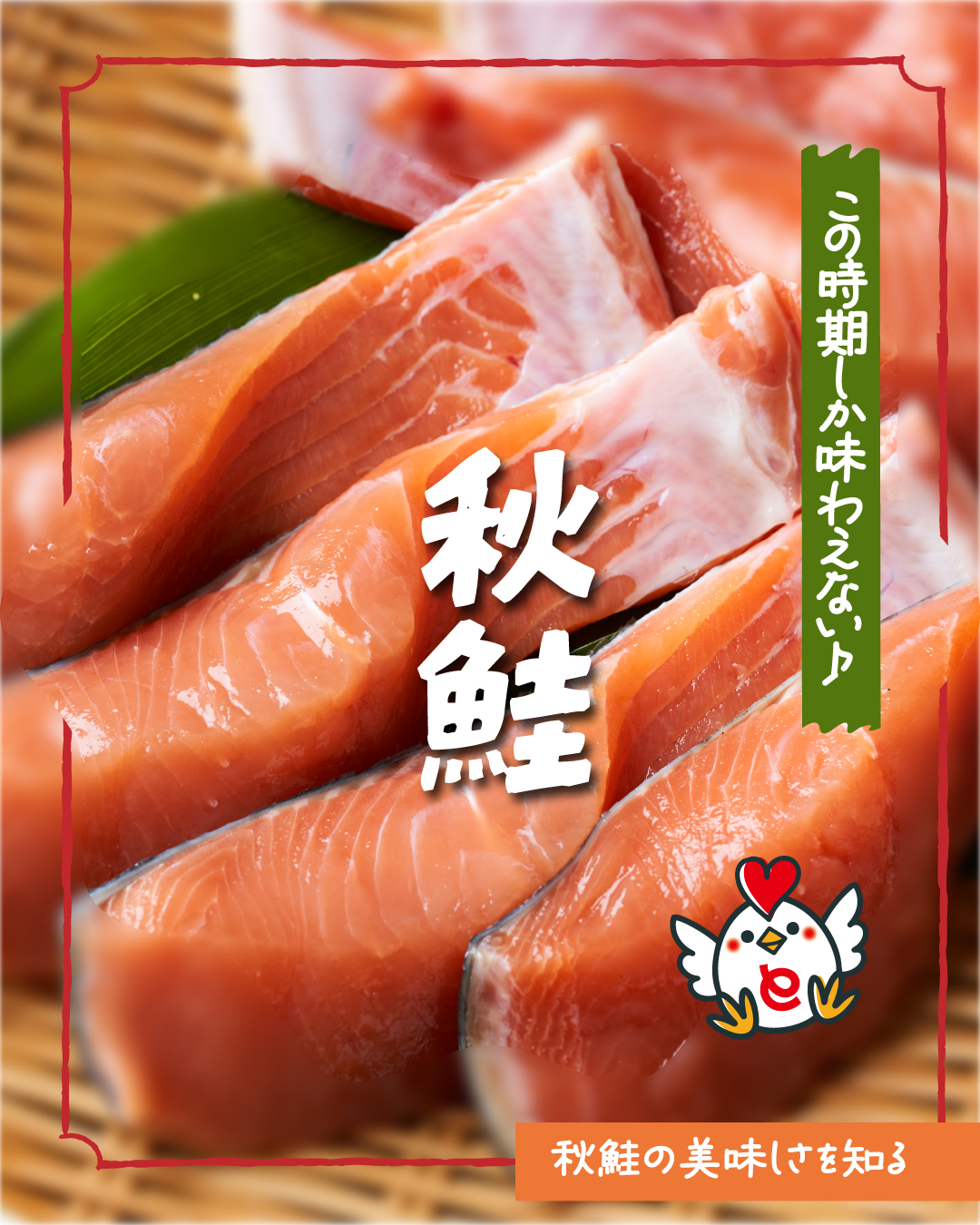 🍂この季節ならではの味覚✨「秋鮭」が登場！ 脂が少なく、さっぱりと