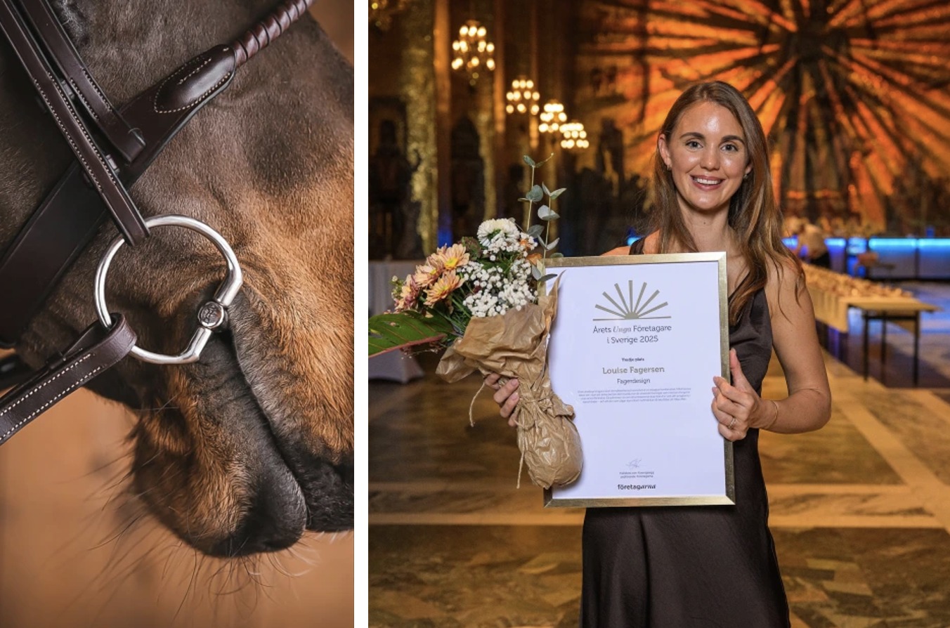 Tidningen - Utmärkelsen Årets Unga Företagare i Sverige 2025 ...