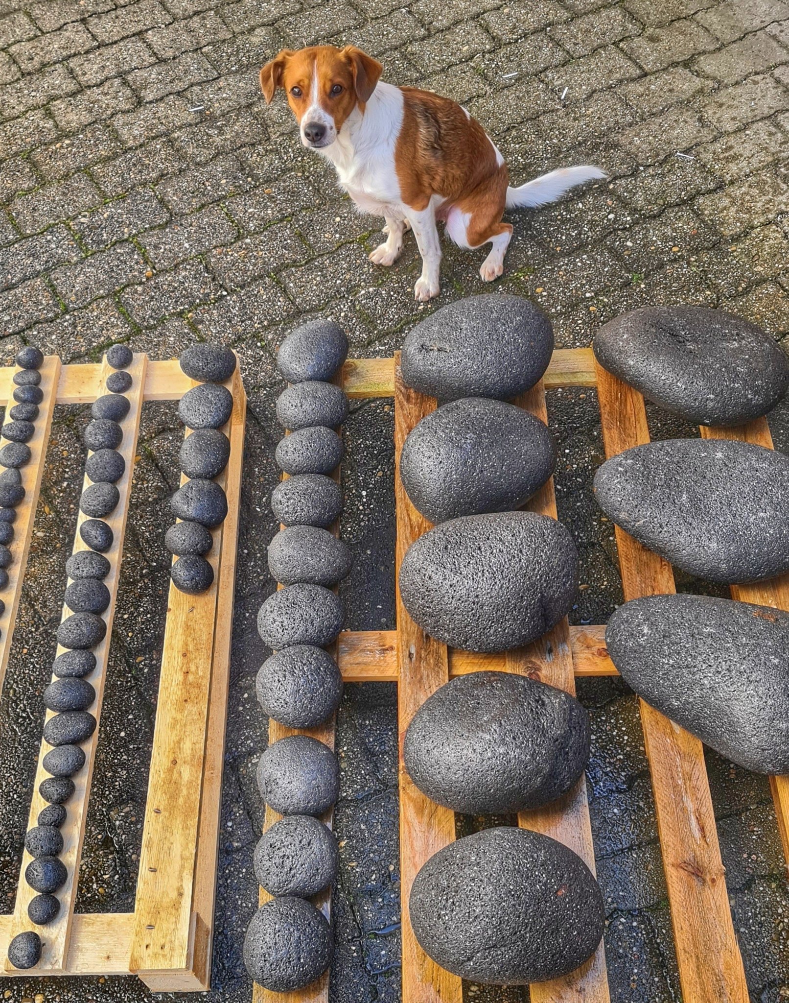 Oliver - 🖤🩶 Grey-Black Pebbles by Colorstone (Wholesale/Germany) One of ...