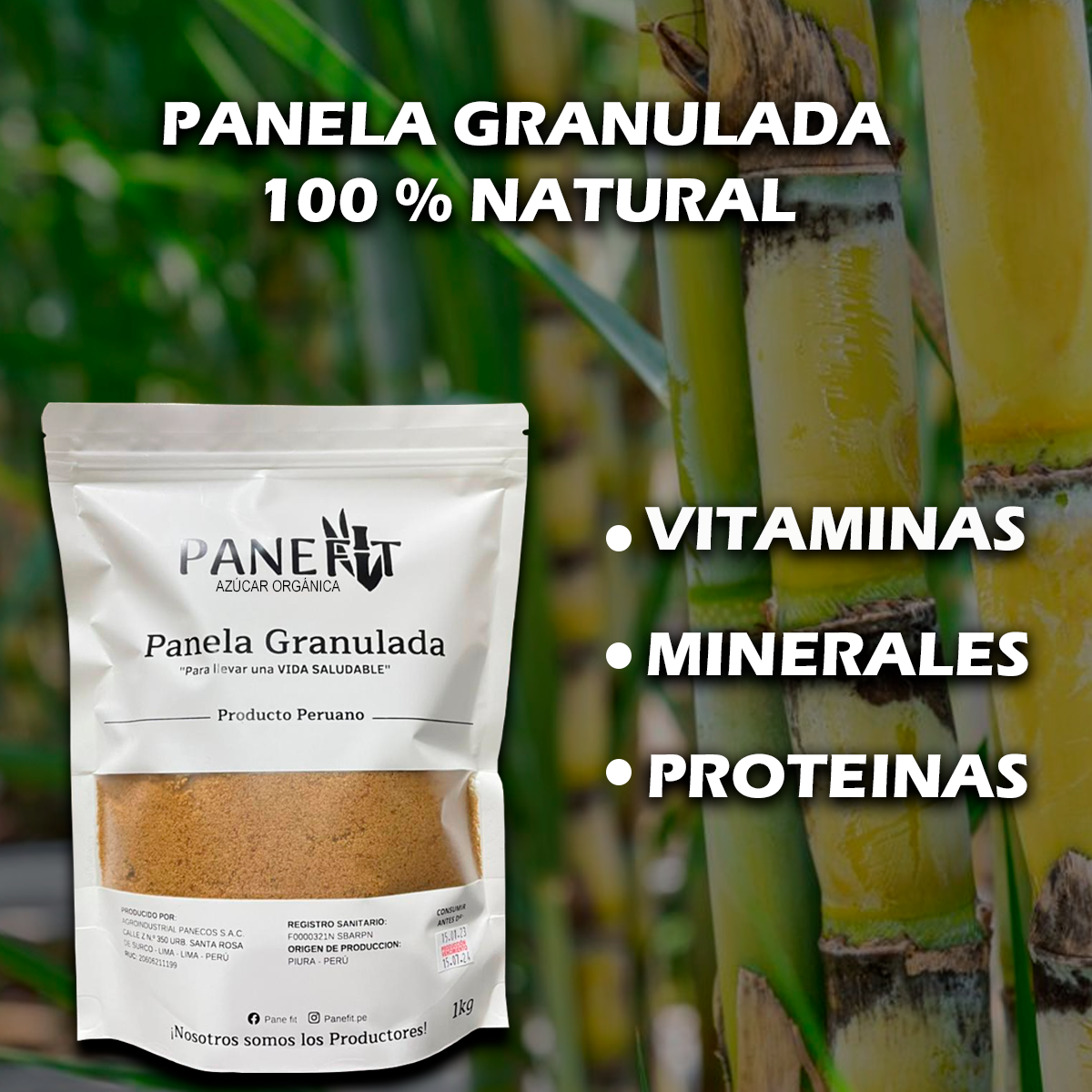 Pane Fit | Lima