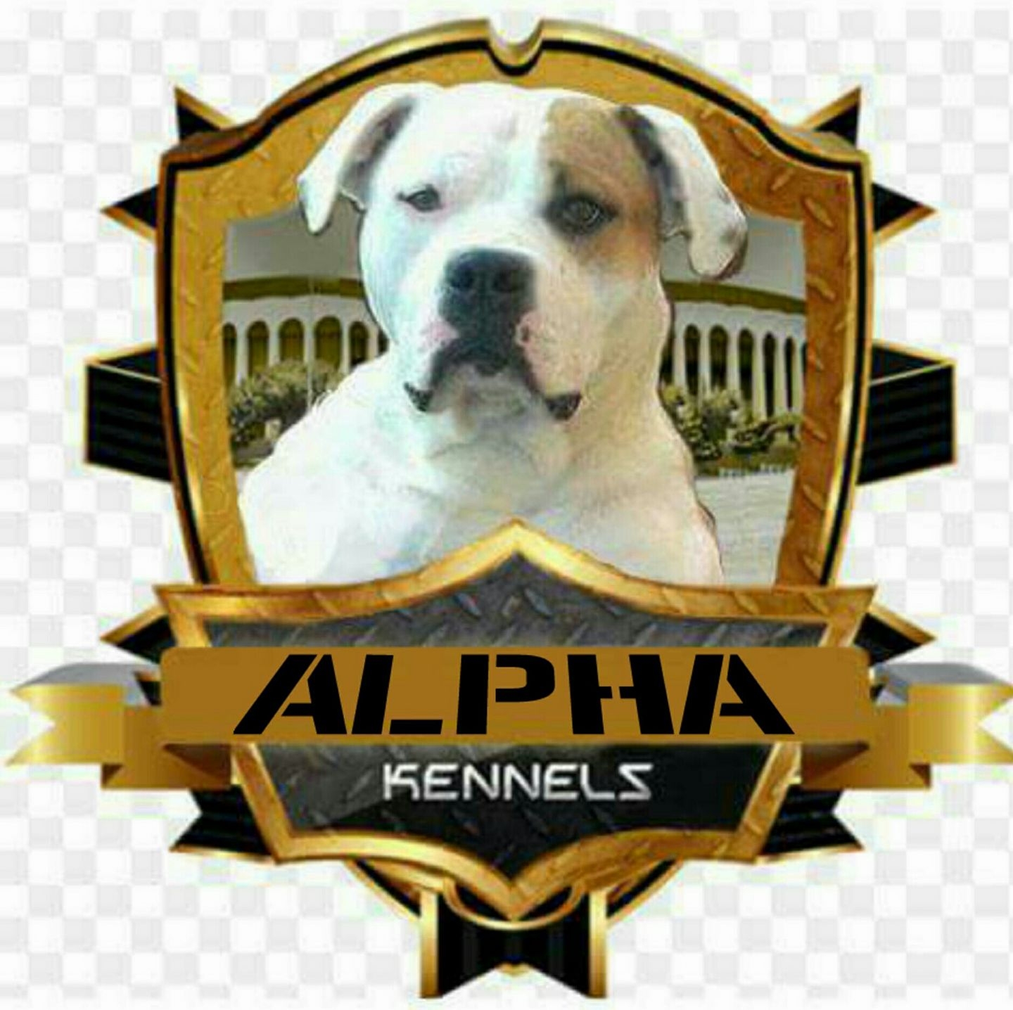 Alpha Kennels