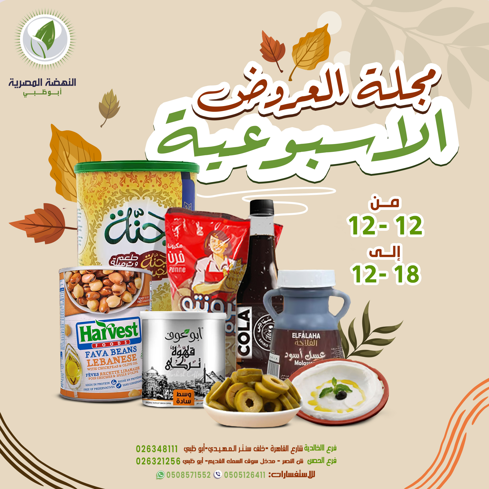 شركه النهضه المصريه ابوظبي Al Nahda Al Misria Abu Dhabi