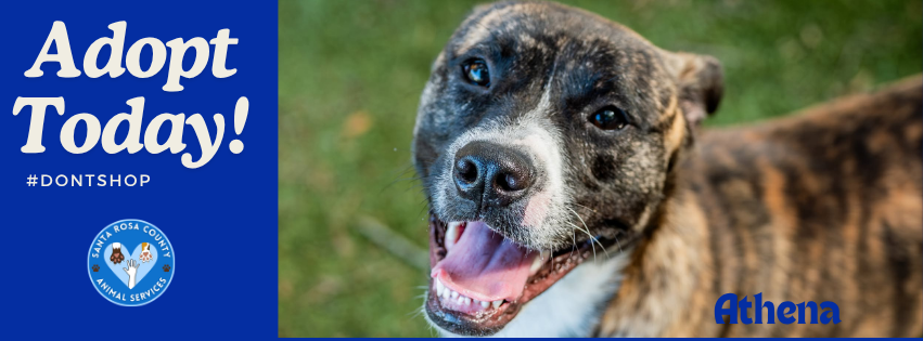The Pet Supply Pantry has moved... - Pensacola Humane Society | Facebook
