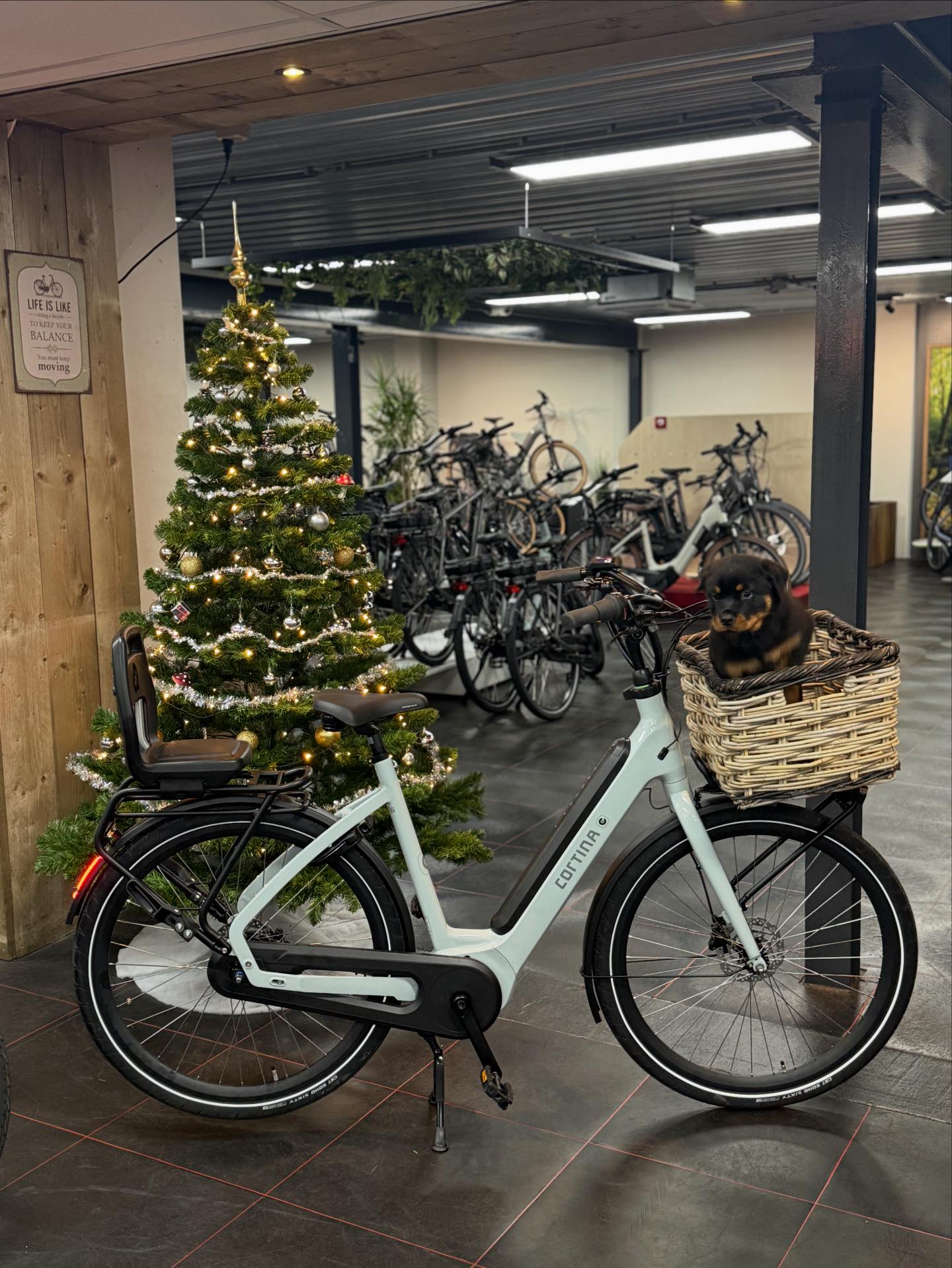 Paize Fietsen Assen added a new photo. - Paize Fietsen Assen