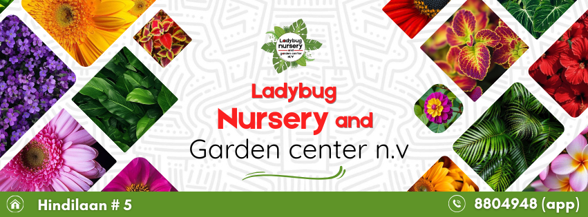 Ladybug Nursery... - Ladybug Nursery and Garden Center N.V.