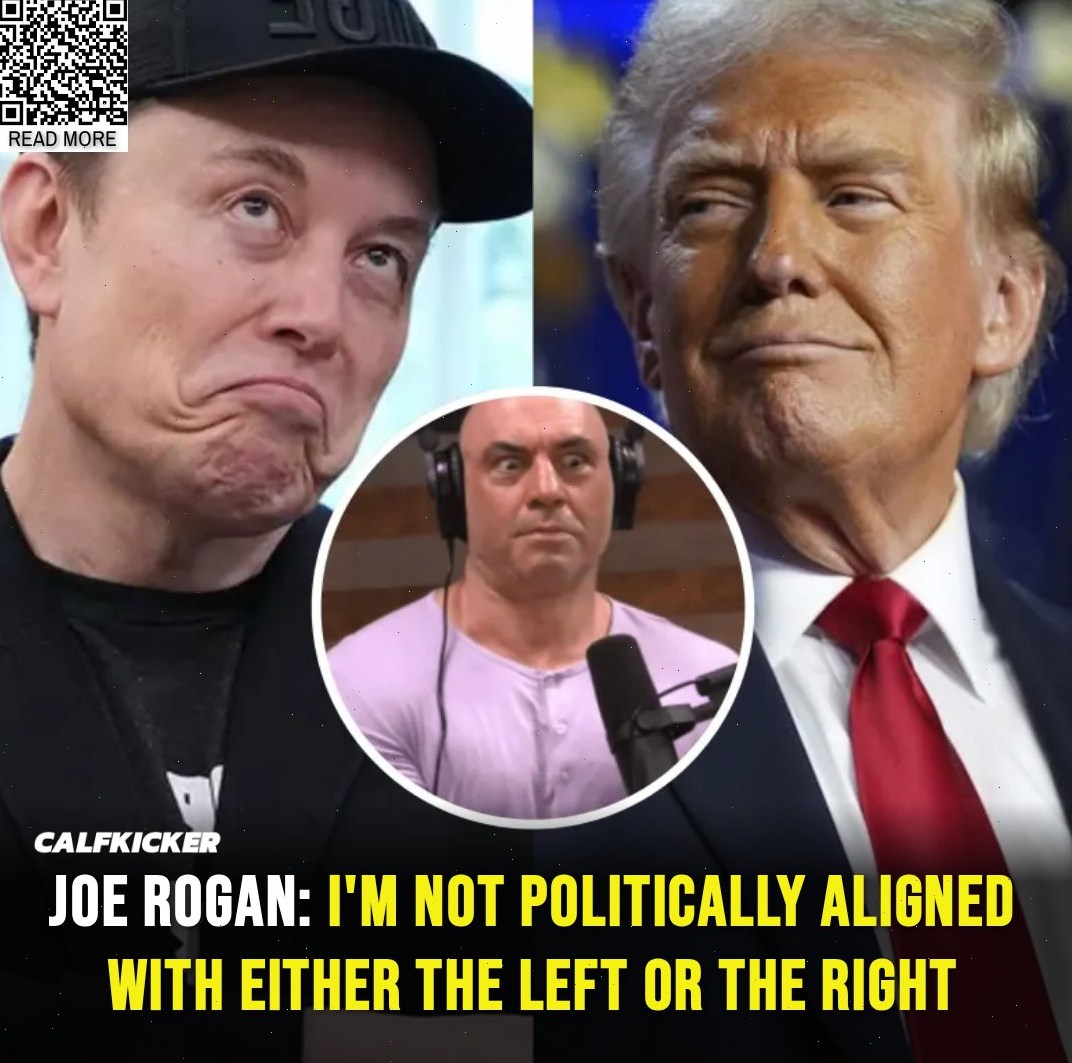 The Last - Joe Rogan shares his frustration with politics and reveals ...