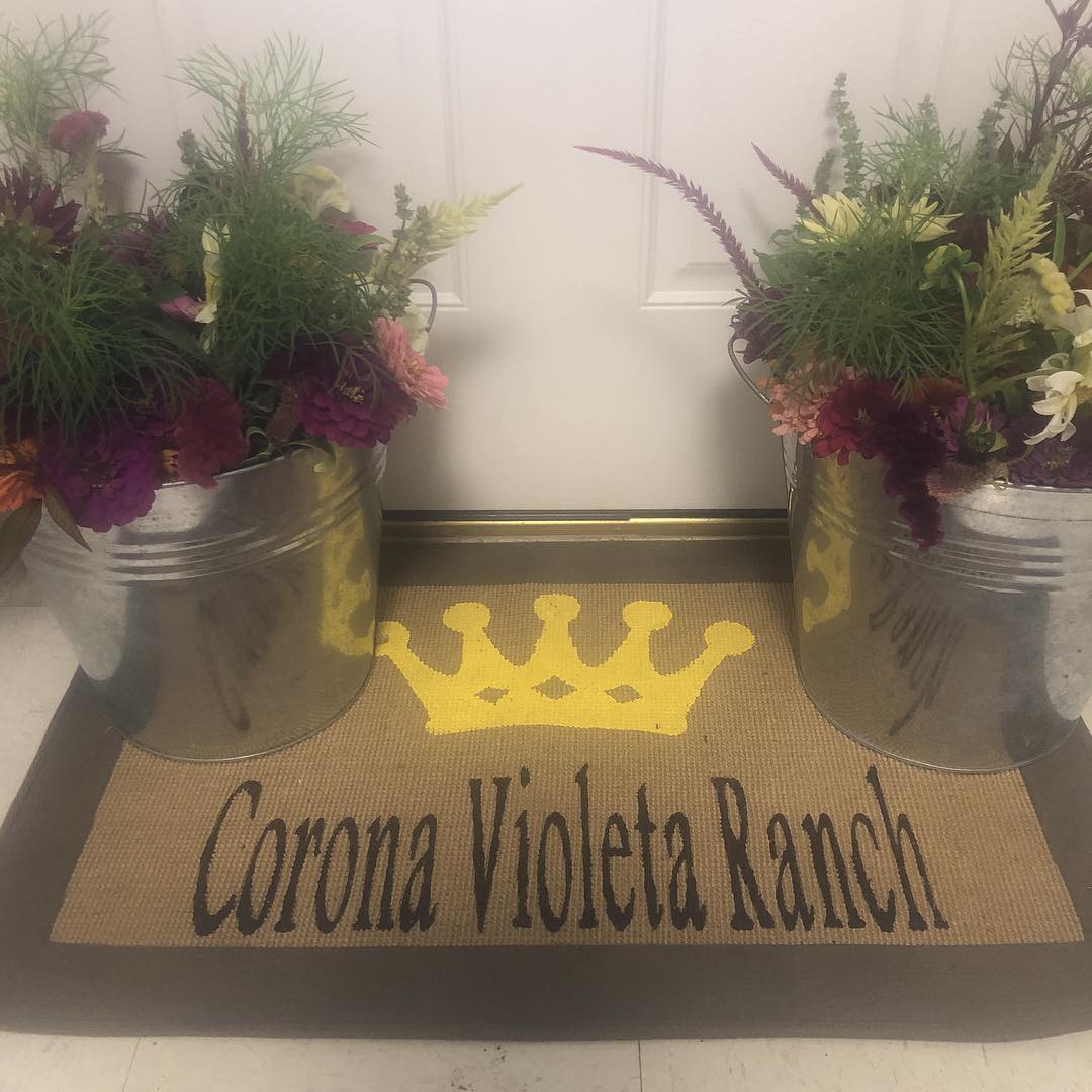 Corona Violeta Ranch | Florence TX
