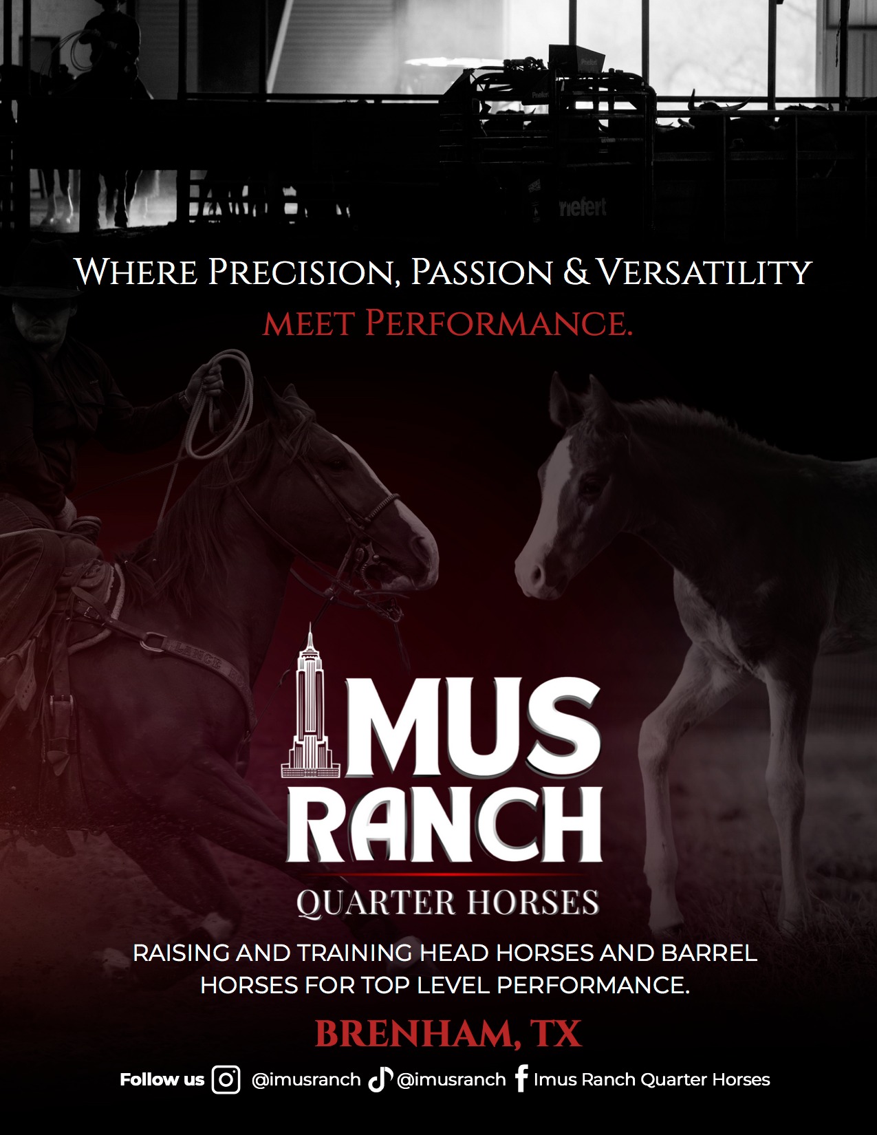 Washington - Imus Ranch Quarter Horses: Where Precision, Passion ...