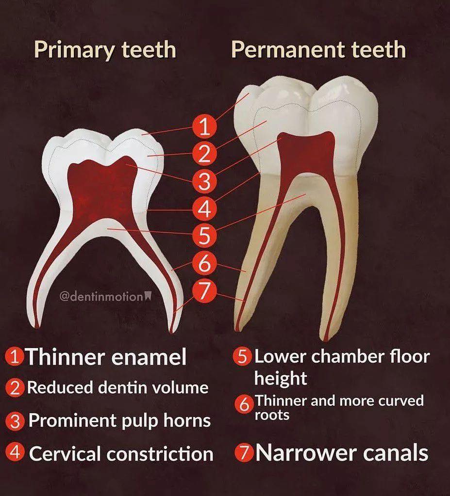 Dental Clinical Skills Arcade - NDEB/ADC/NBDE/Bench Tests added a new ...