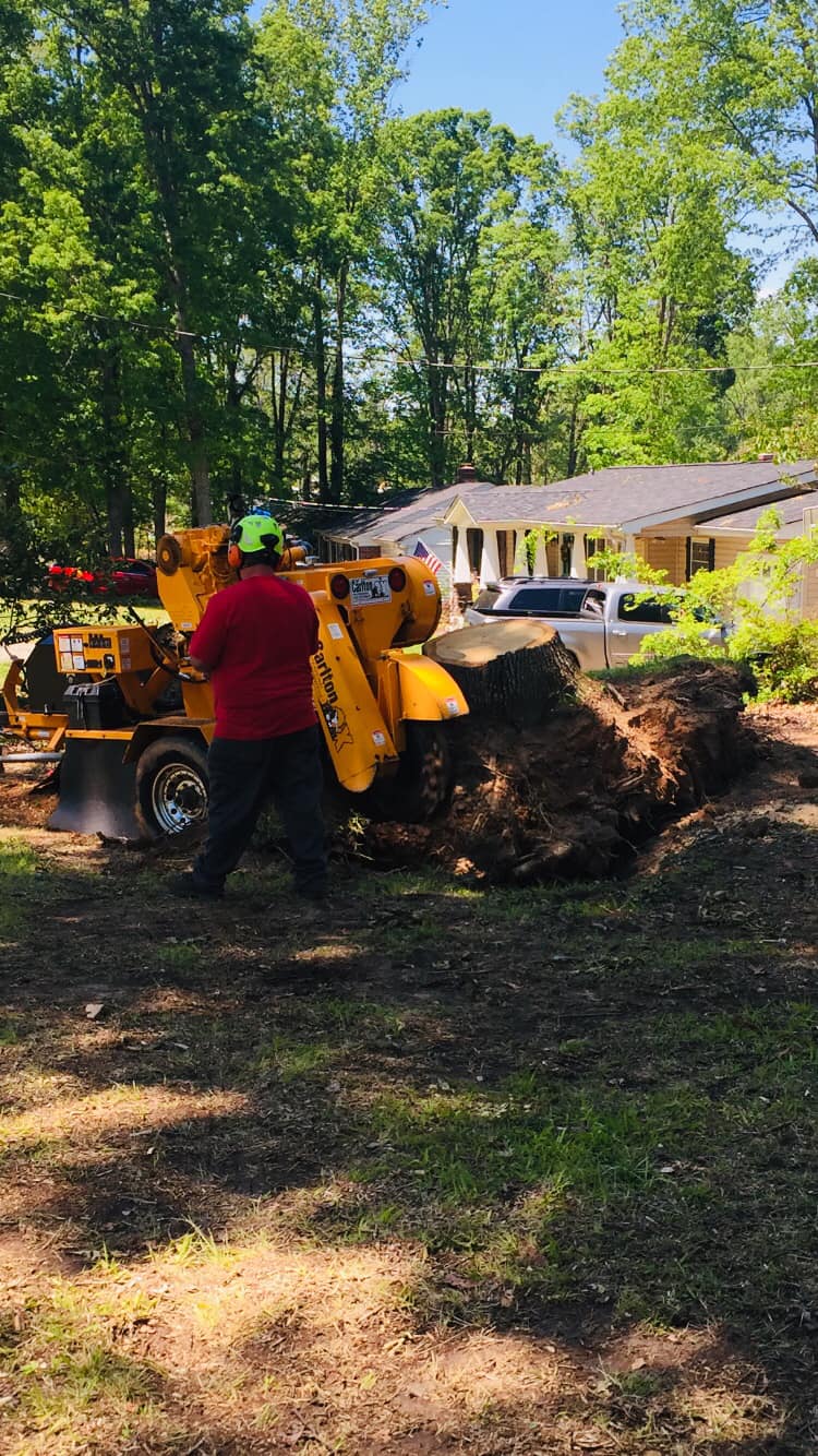 Palmetto State Stump Grinding | Greenville SC