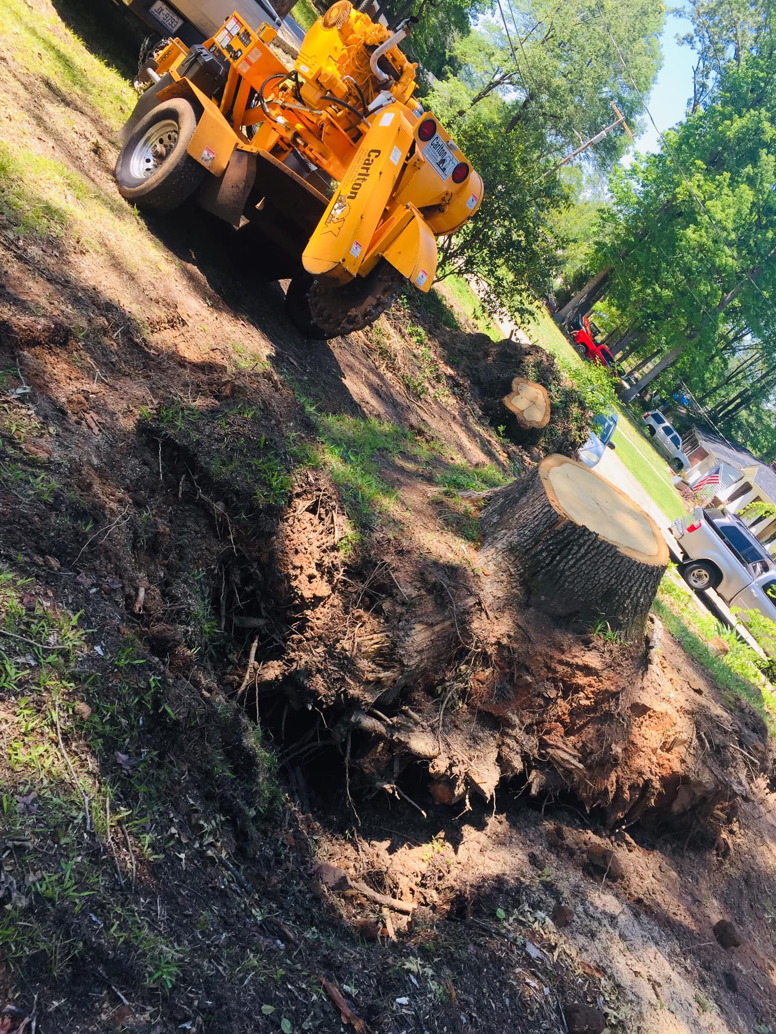Palmetto State Stump Grinding | Greenville SC