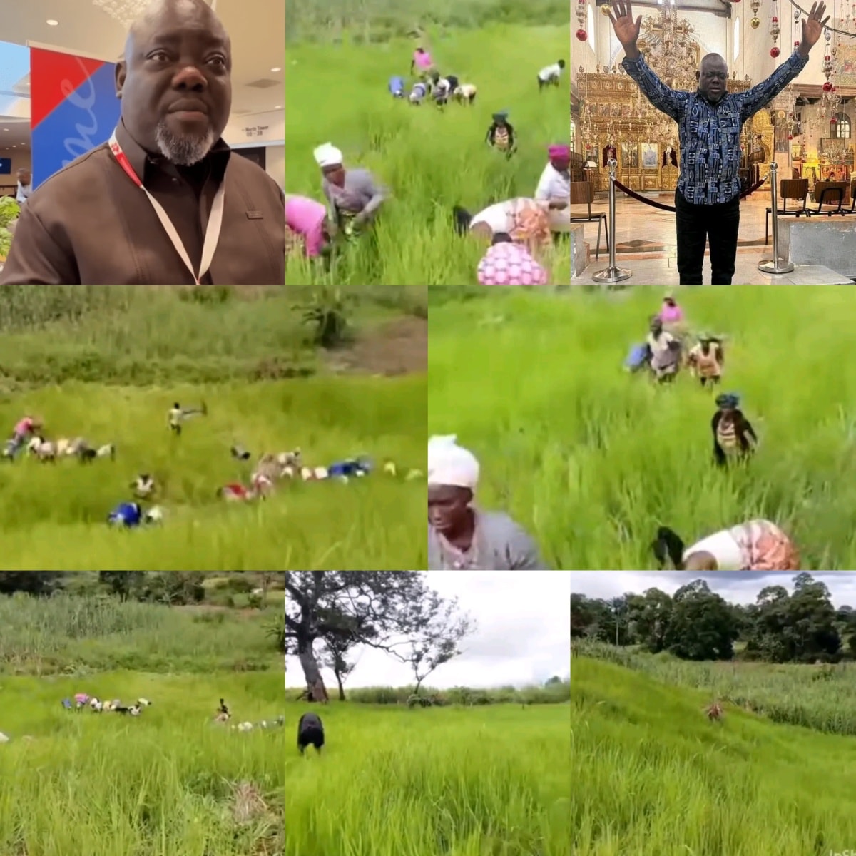 Montserrado - Agricultural Project in Foya District Thriving, Says ...